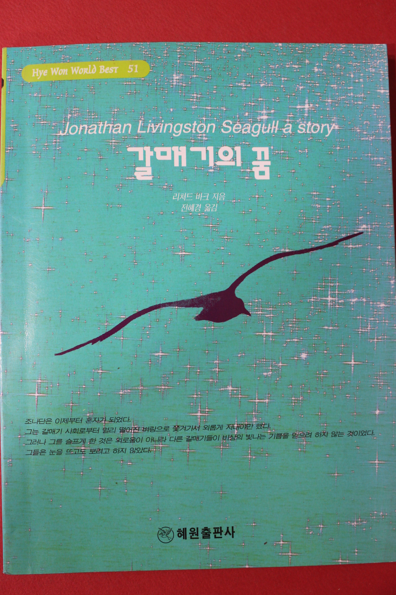 2002년 리처드 바크 갈매기의 꿈