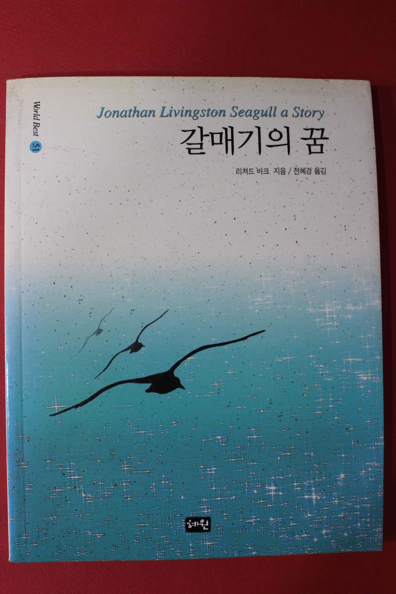 2004년 리처드 바크 갈매기의 꿈
