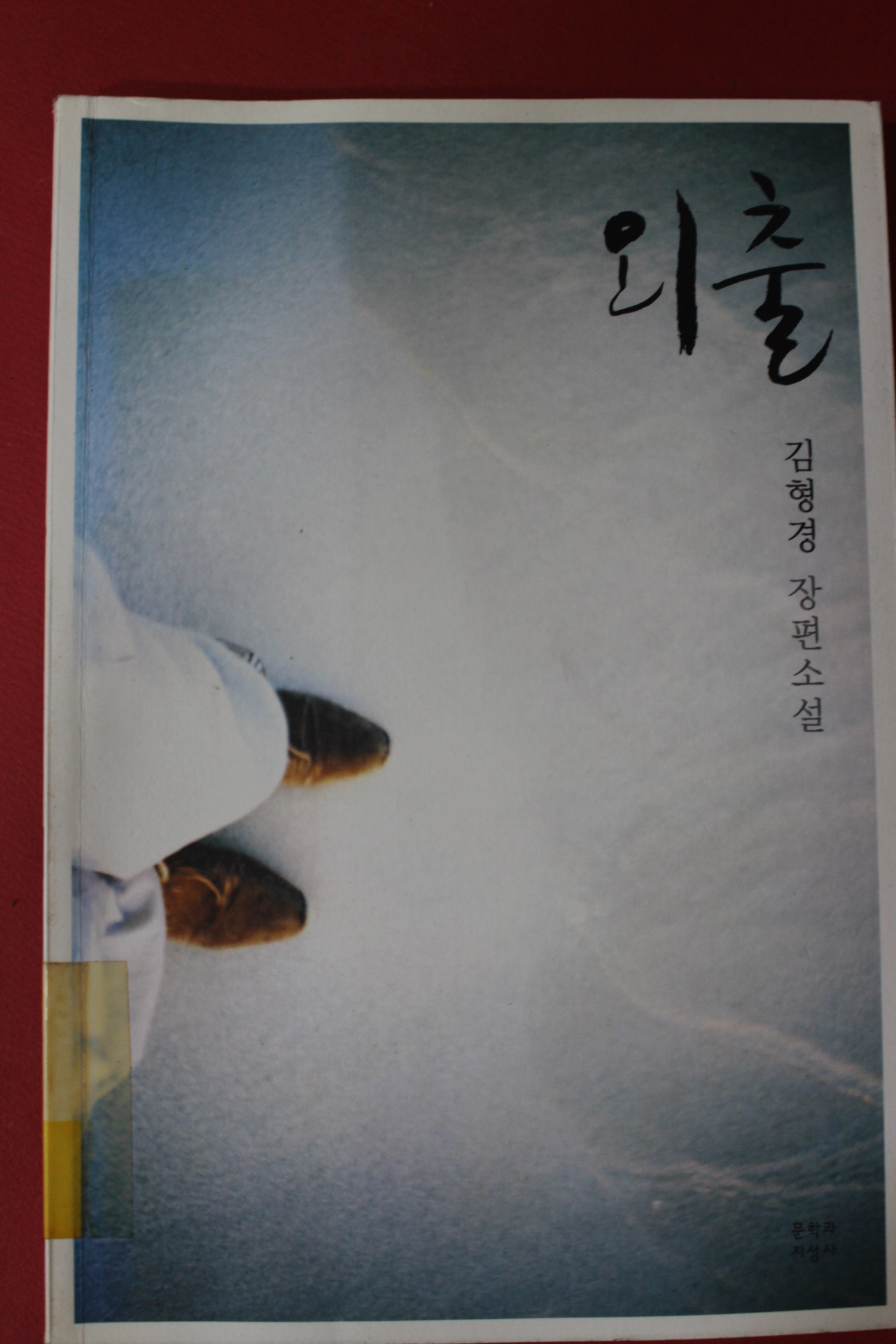 2005년 김형경 장편소설 외출