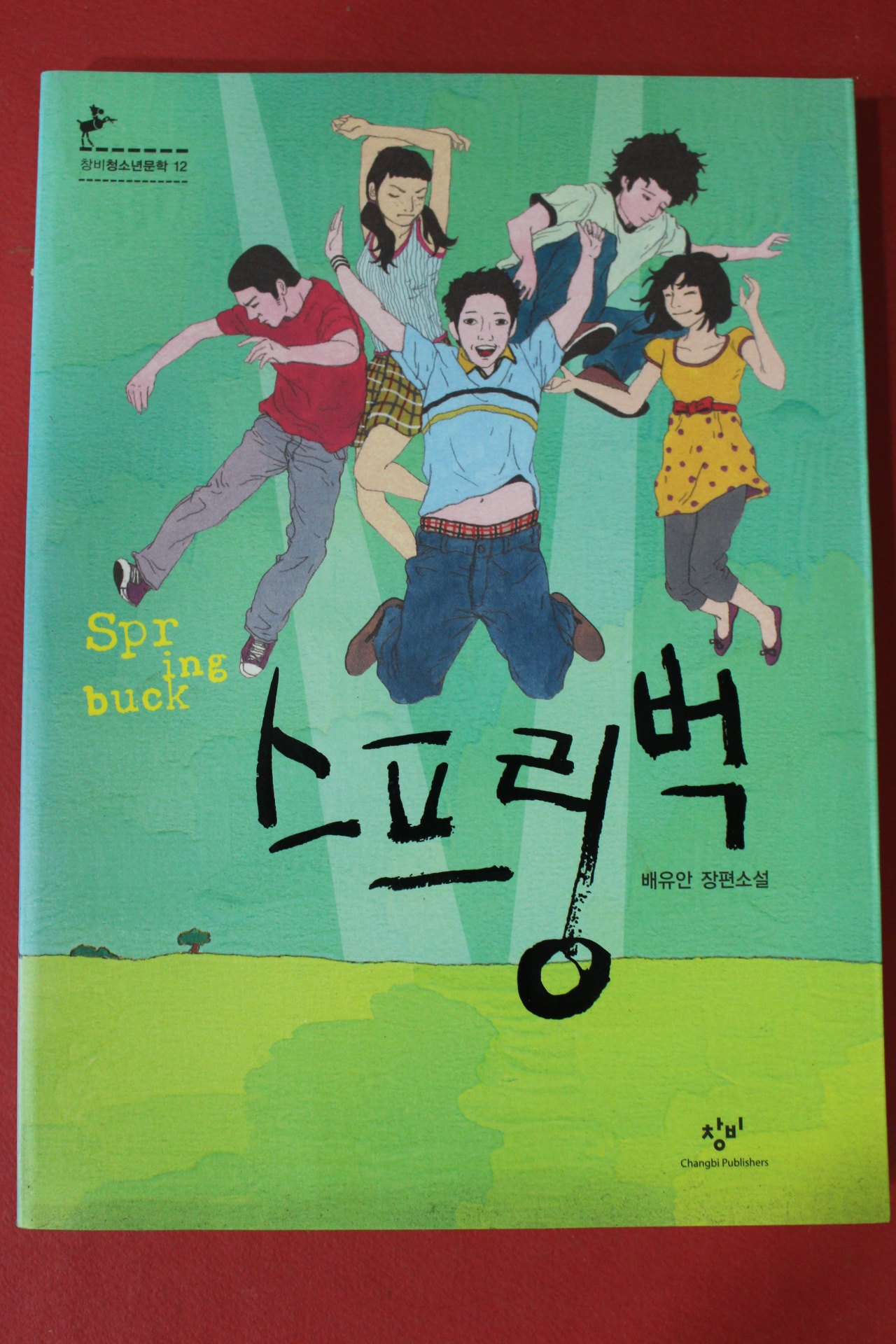 2012년 배유안 장편소설 스프링벅