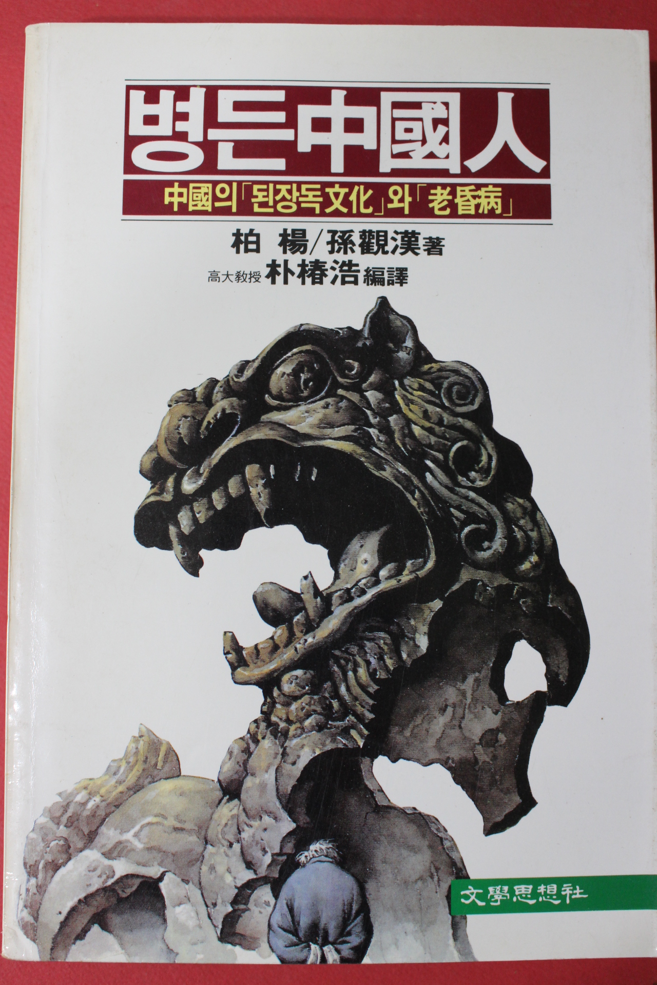 1989년 병든 중국인