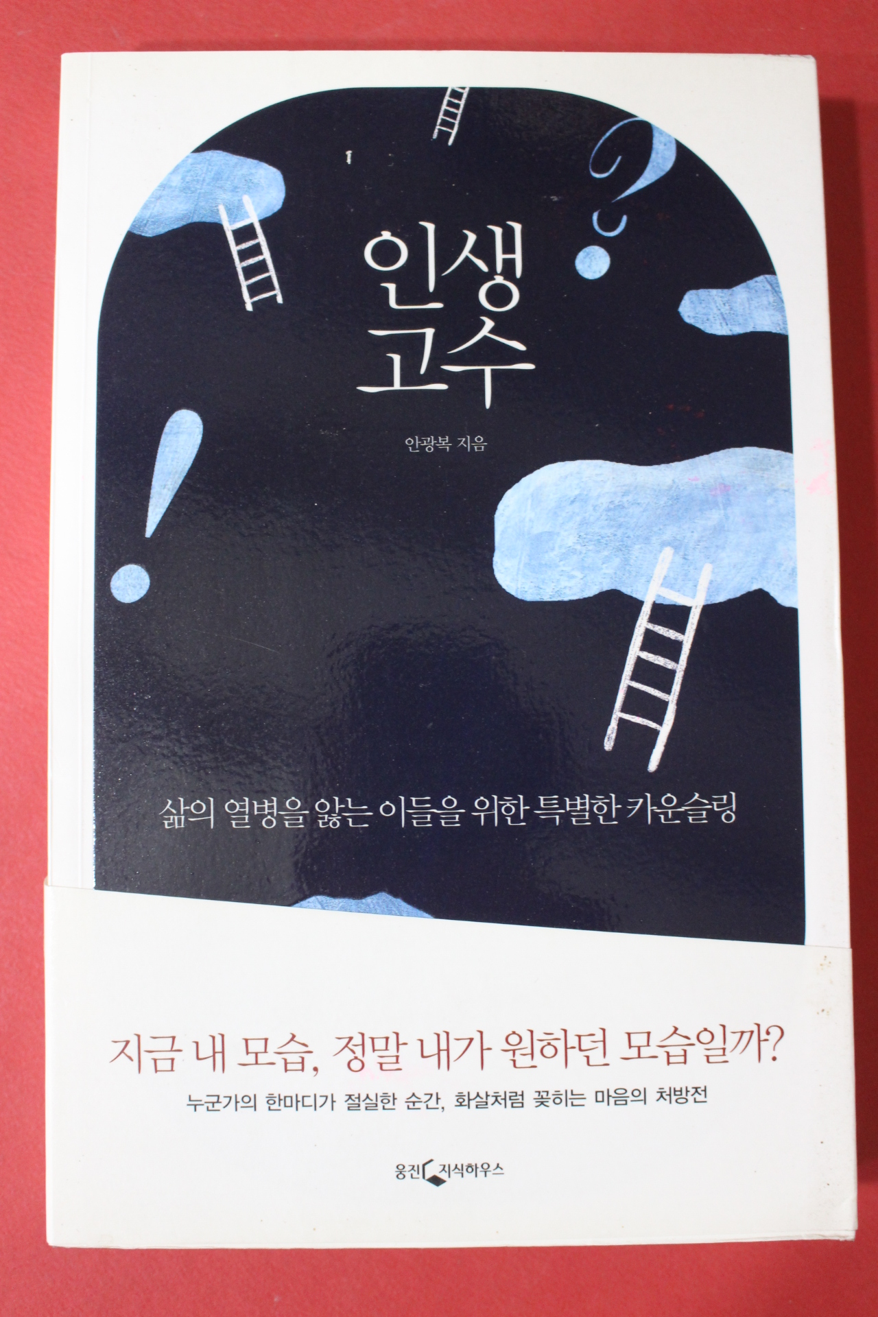 2009년초판 안광복 인생고수