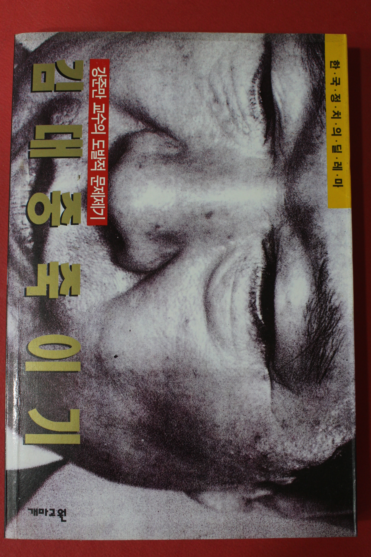 1995년 강준만 김대중 죽이기