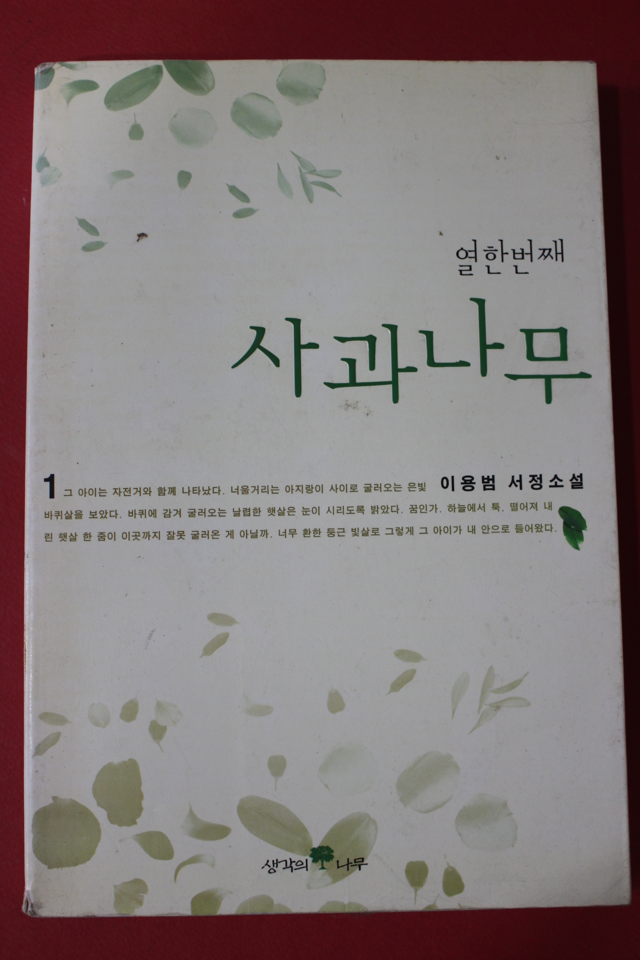 2001년 이용범 서정소설 열한번째 사과나무