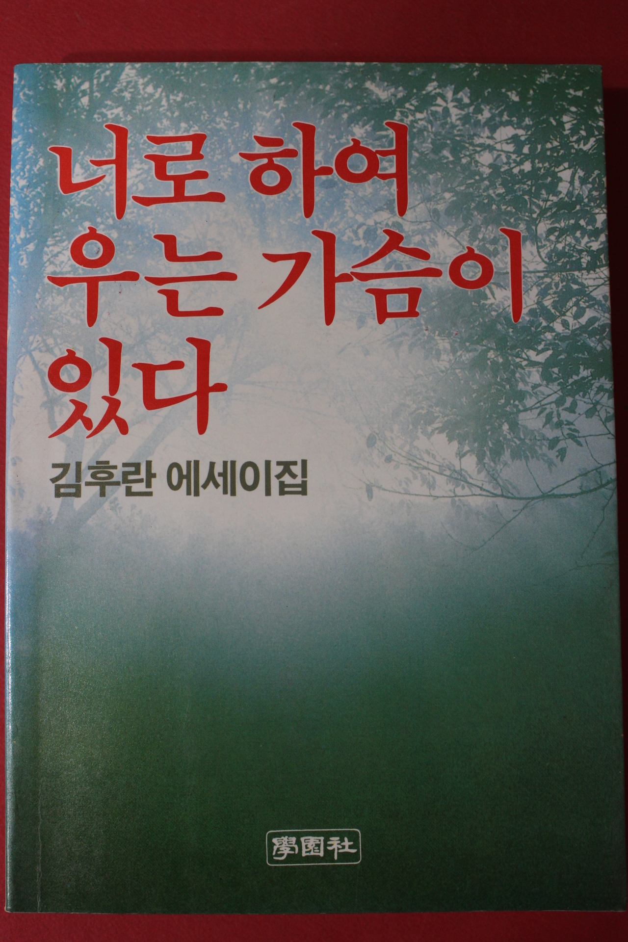 1987년 김후란 에세이집 너로 하여 우는 가슴이 있다
