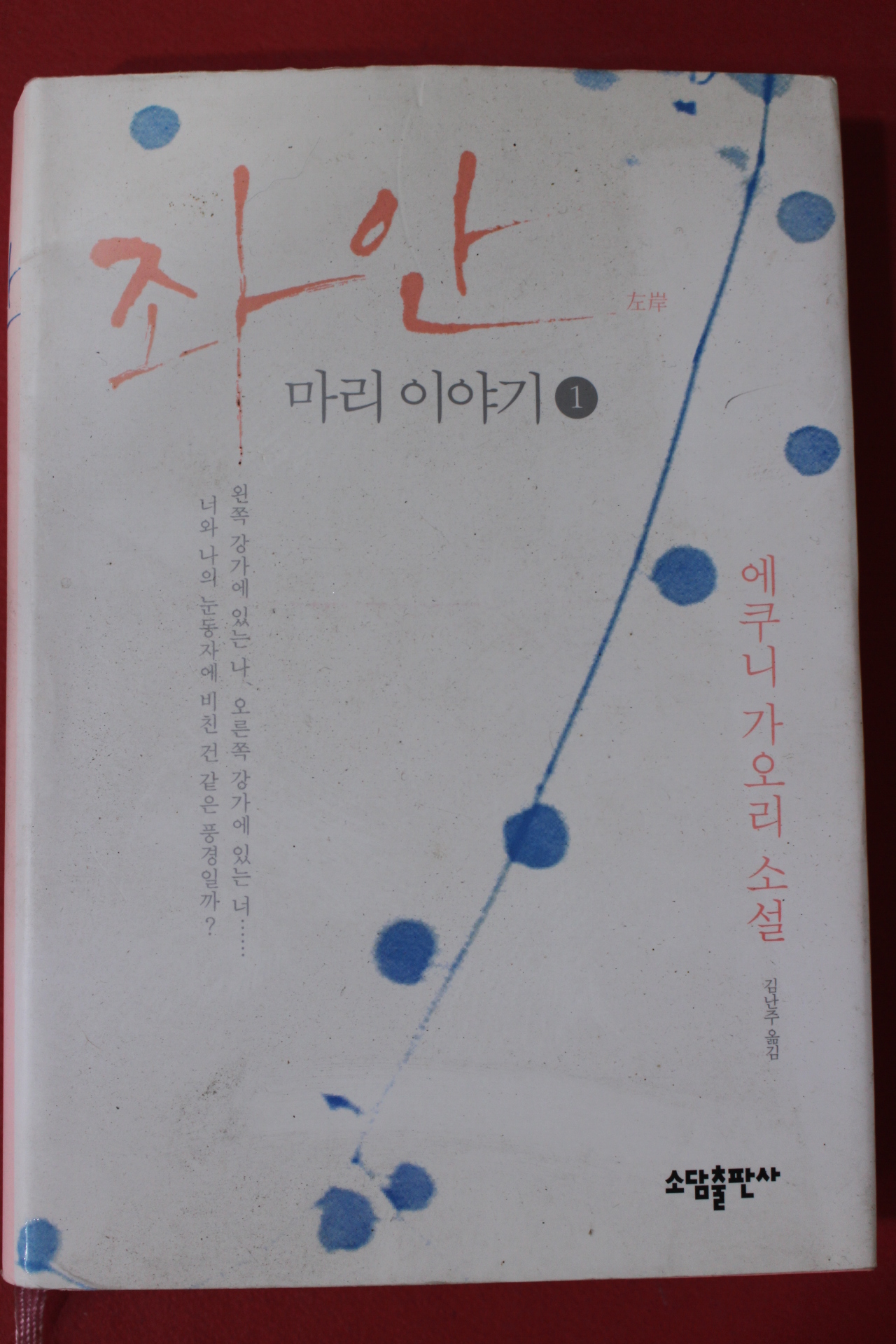 2009년 에쿠니가오리 소설 좌안 마리이야기 1