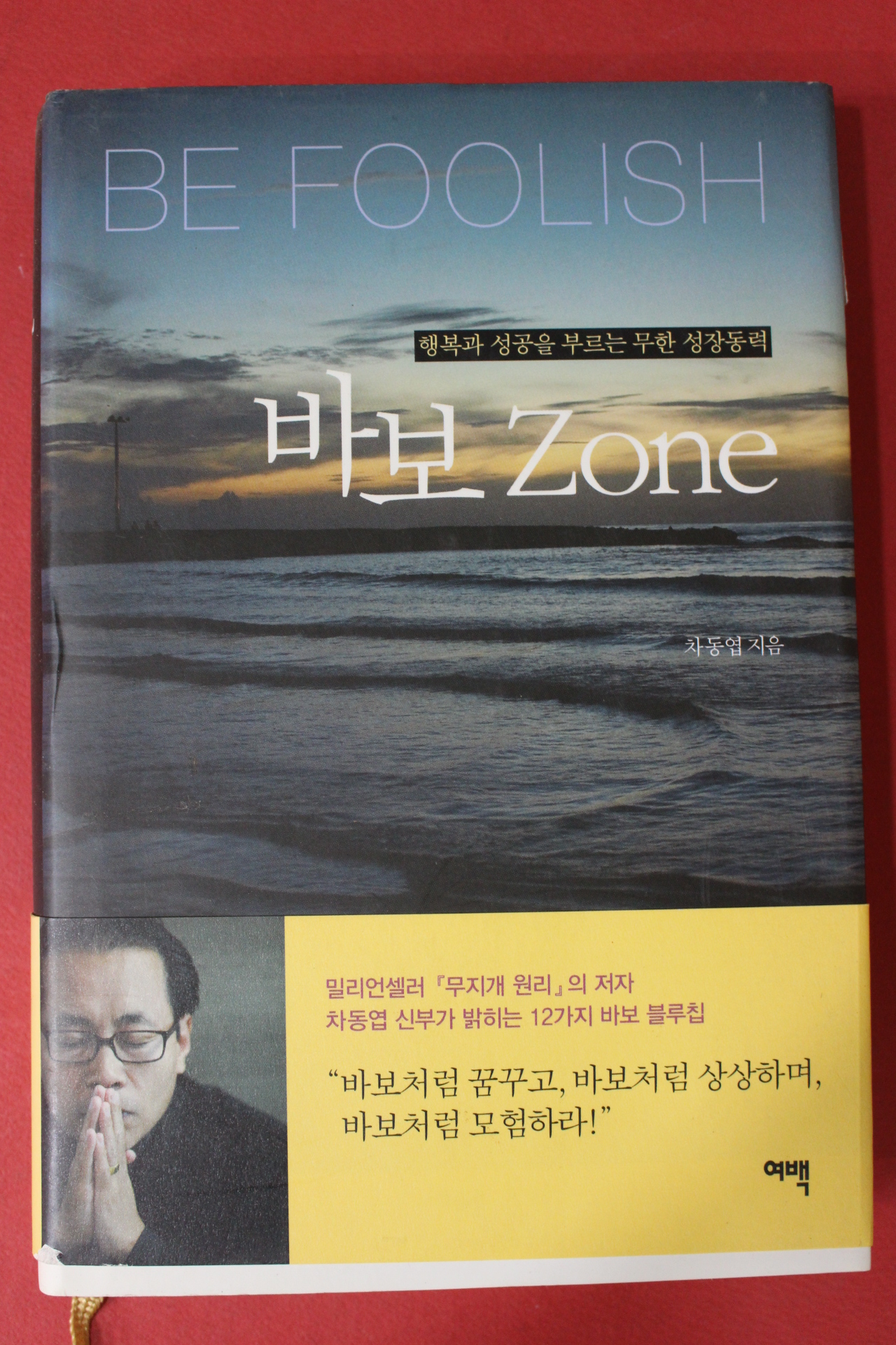2010년 차동엽 바보존