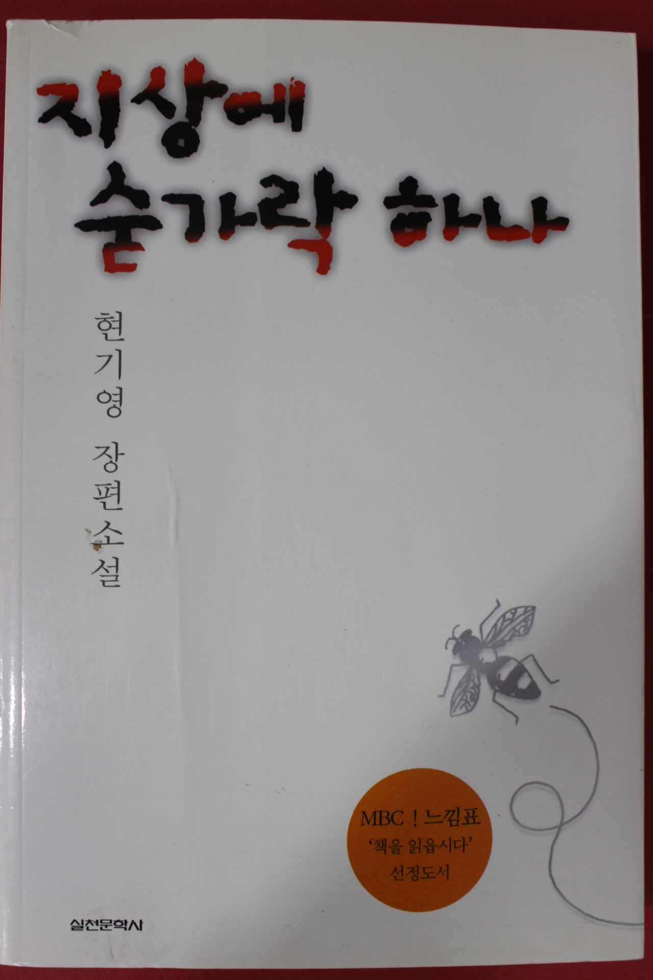 2008년 현기영 지상에 숟가락 하나