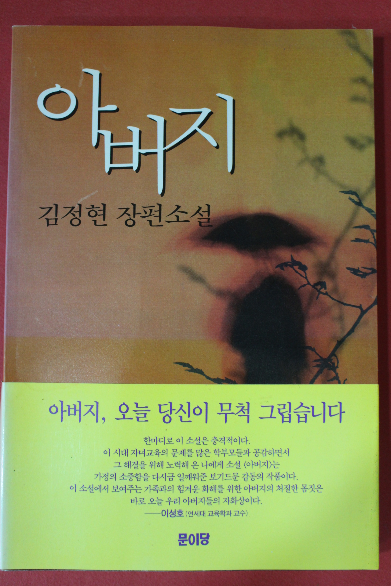 1997년 김정현 장편소설 아버지