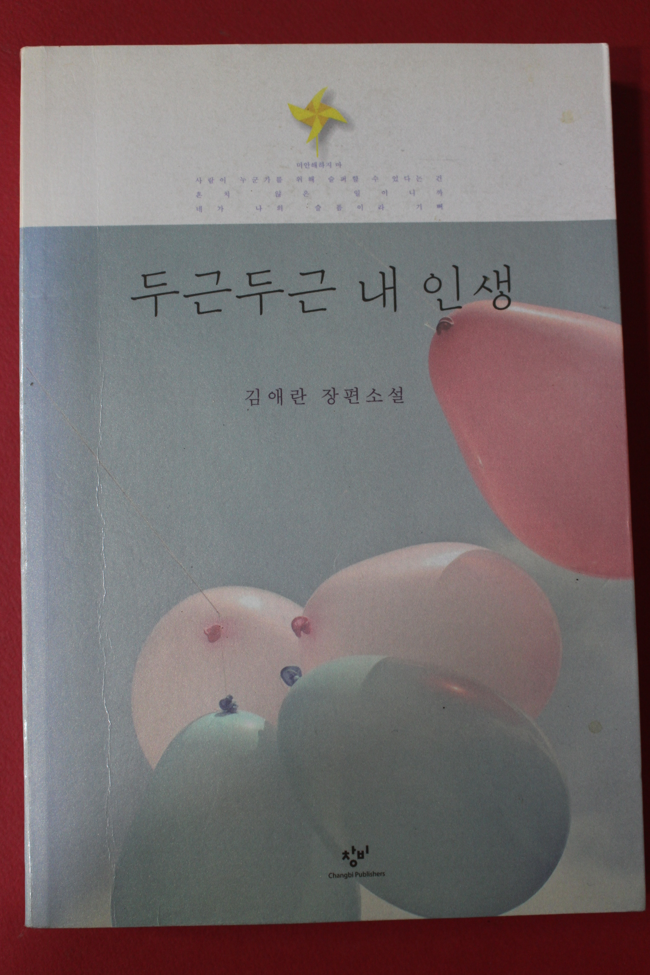 2013년 김애란 장편소설 두근두근 내인생