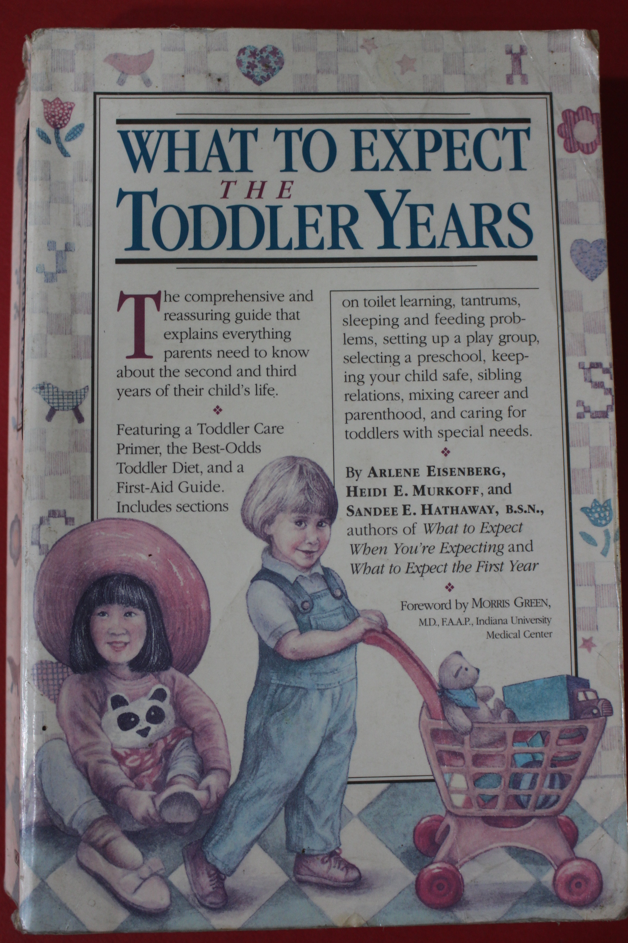 1994년 WHAT TO EXPECT TODDLER YEARS