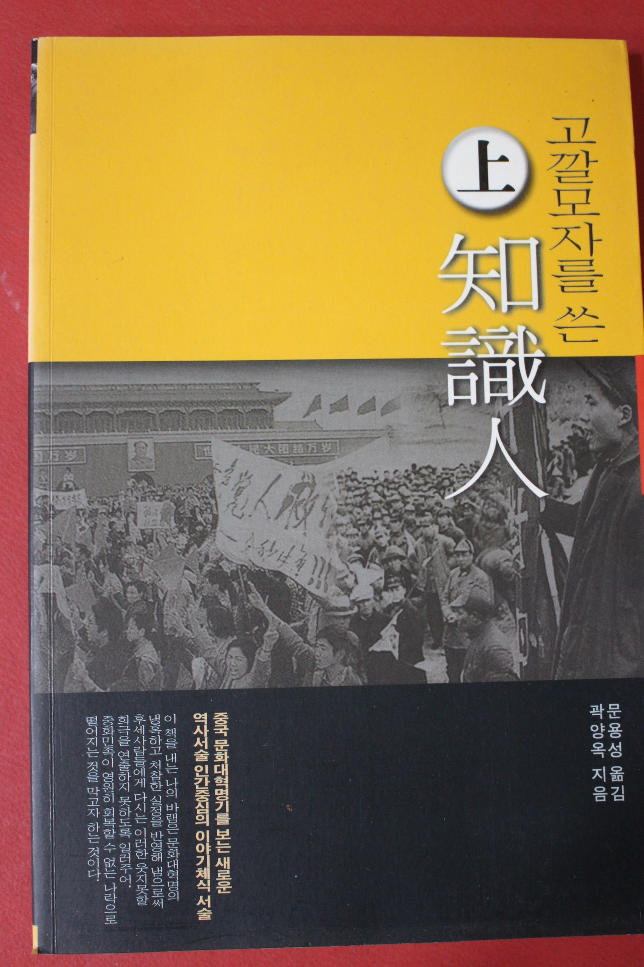 2004년 곽양옥 문용성옮김 고깔모자를 쓴 지식인 상권