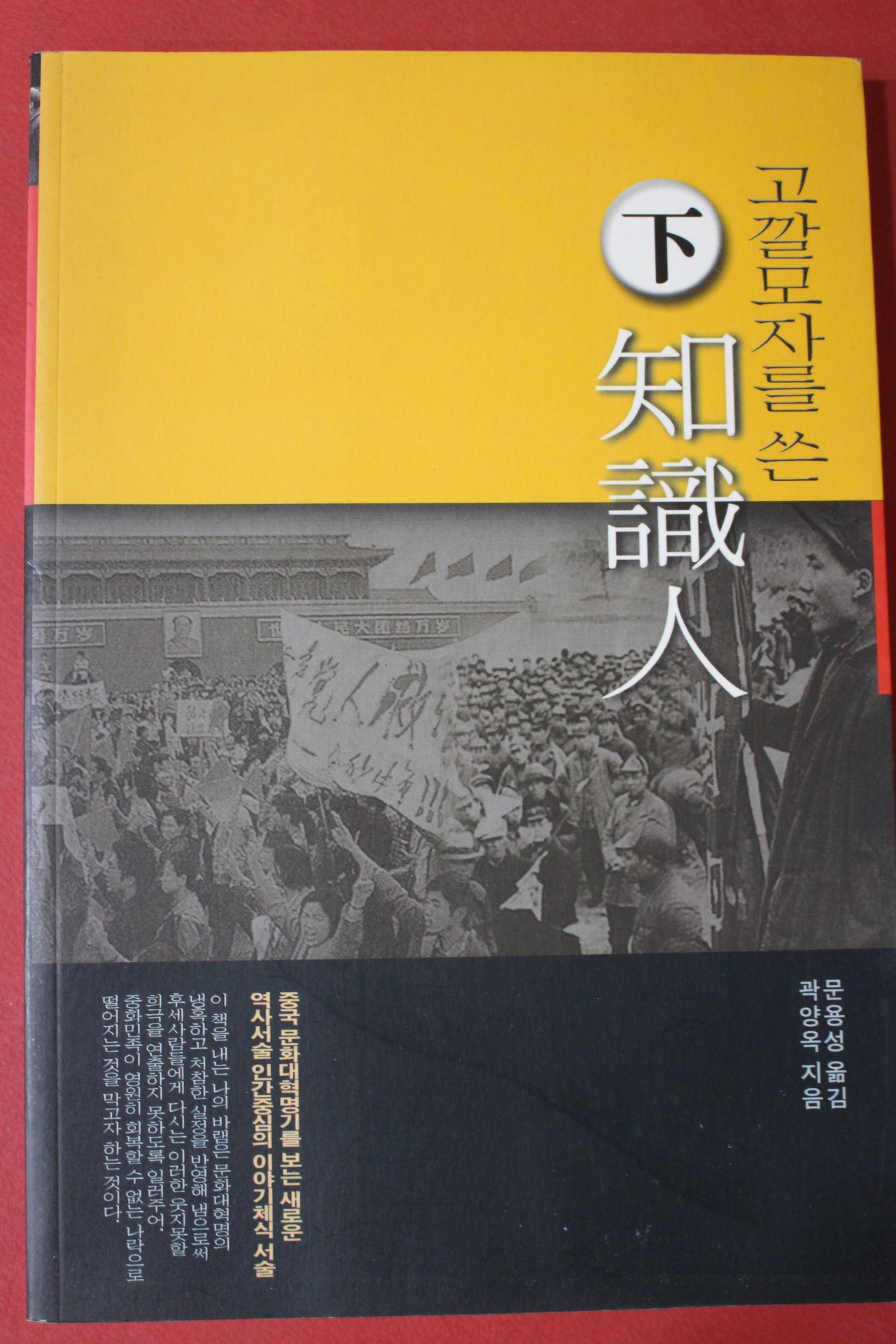 2004년 곽양옥 문용성옮김 고깔모자를 쓴 지식인 하권