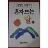 1991년 나상만 장편소설 혼자뜨는 달 1