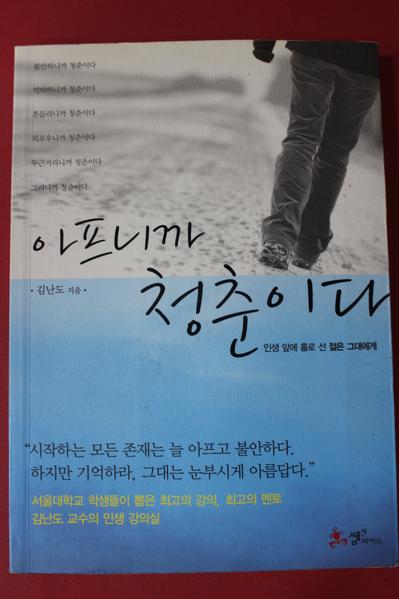 2011년 김난도 아프니까 청춘이다