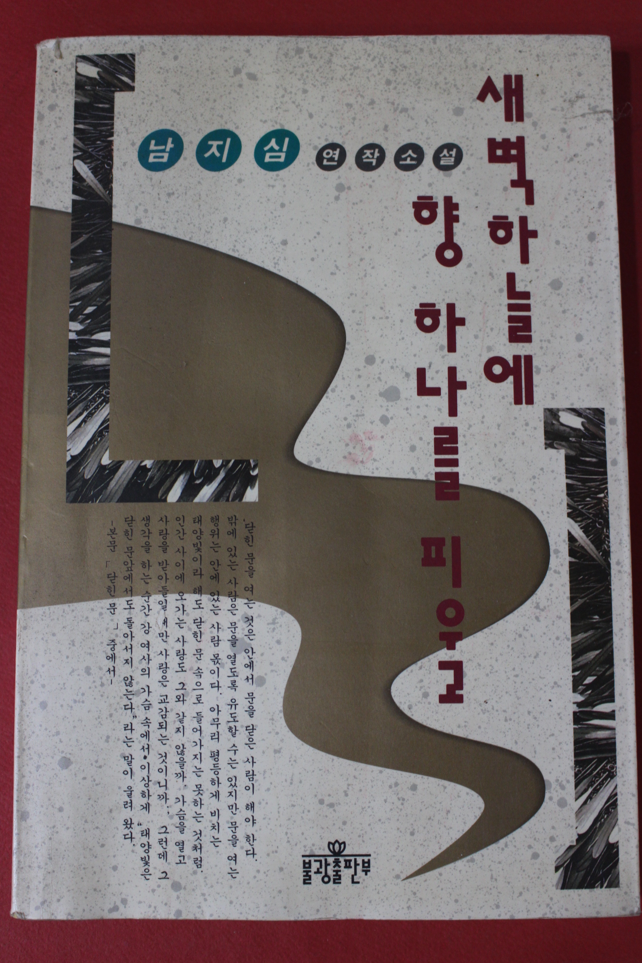 1992년 남지심 연작소설 새벽하늘에 향 하나를 피우고