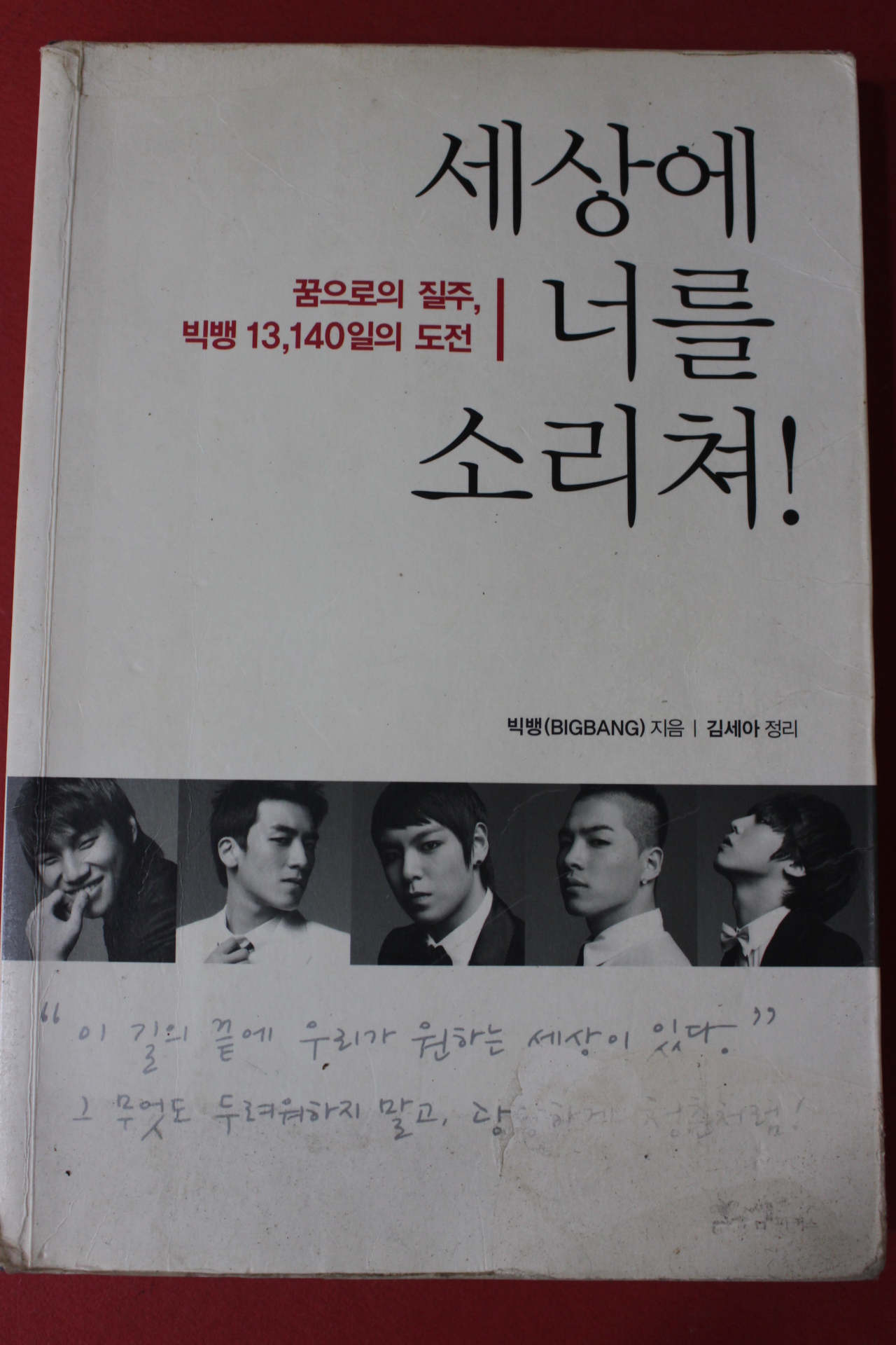 2009년 빅뱅 세상에 너를 소리쳐