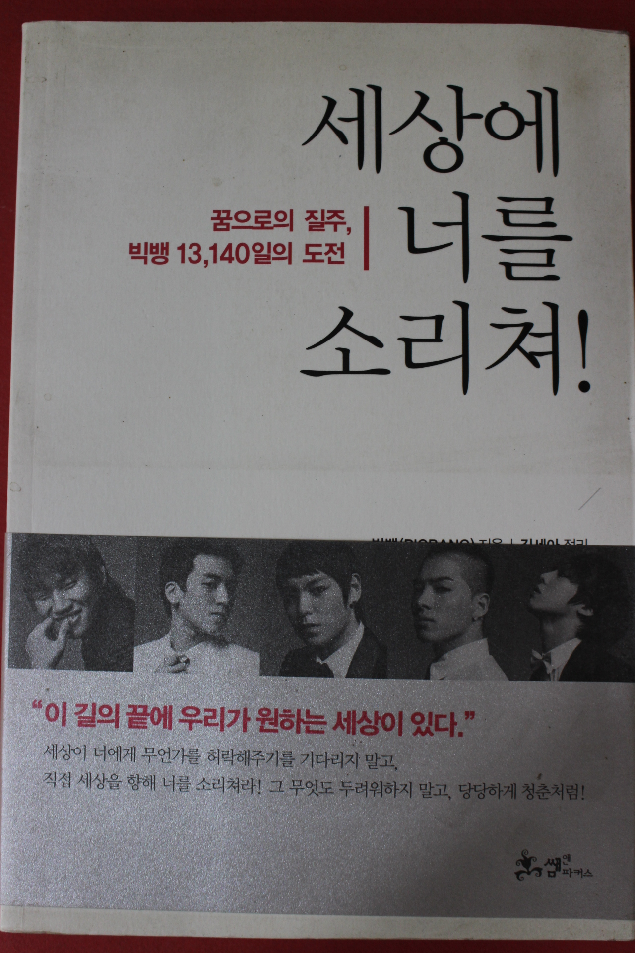 2009년 빅뱅 세상에 너를 소리쳐