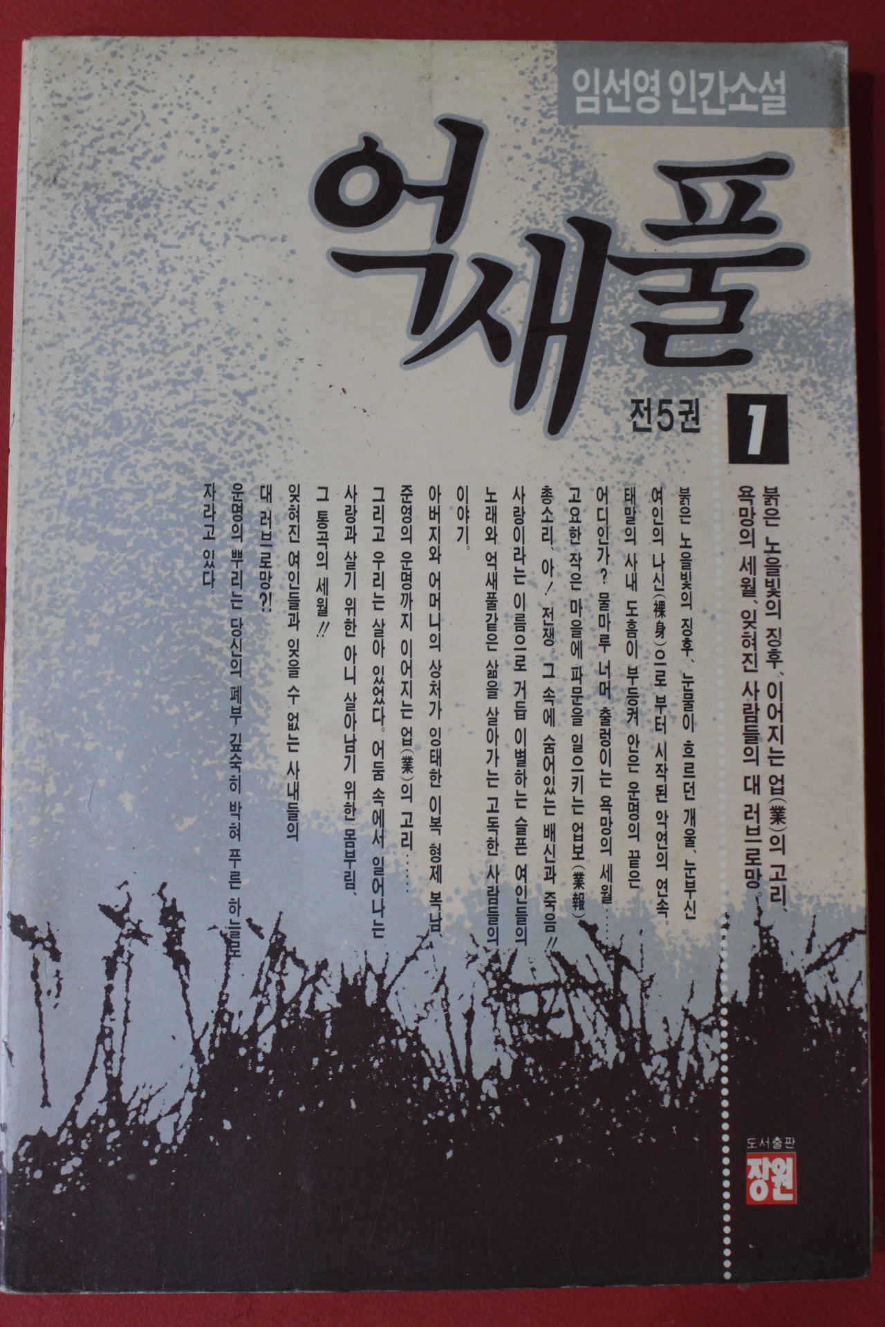 1991년 임선영 인간소설 억새풀 1