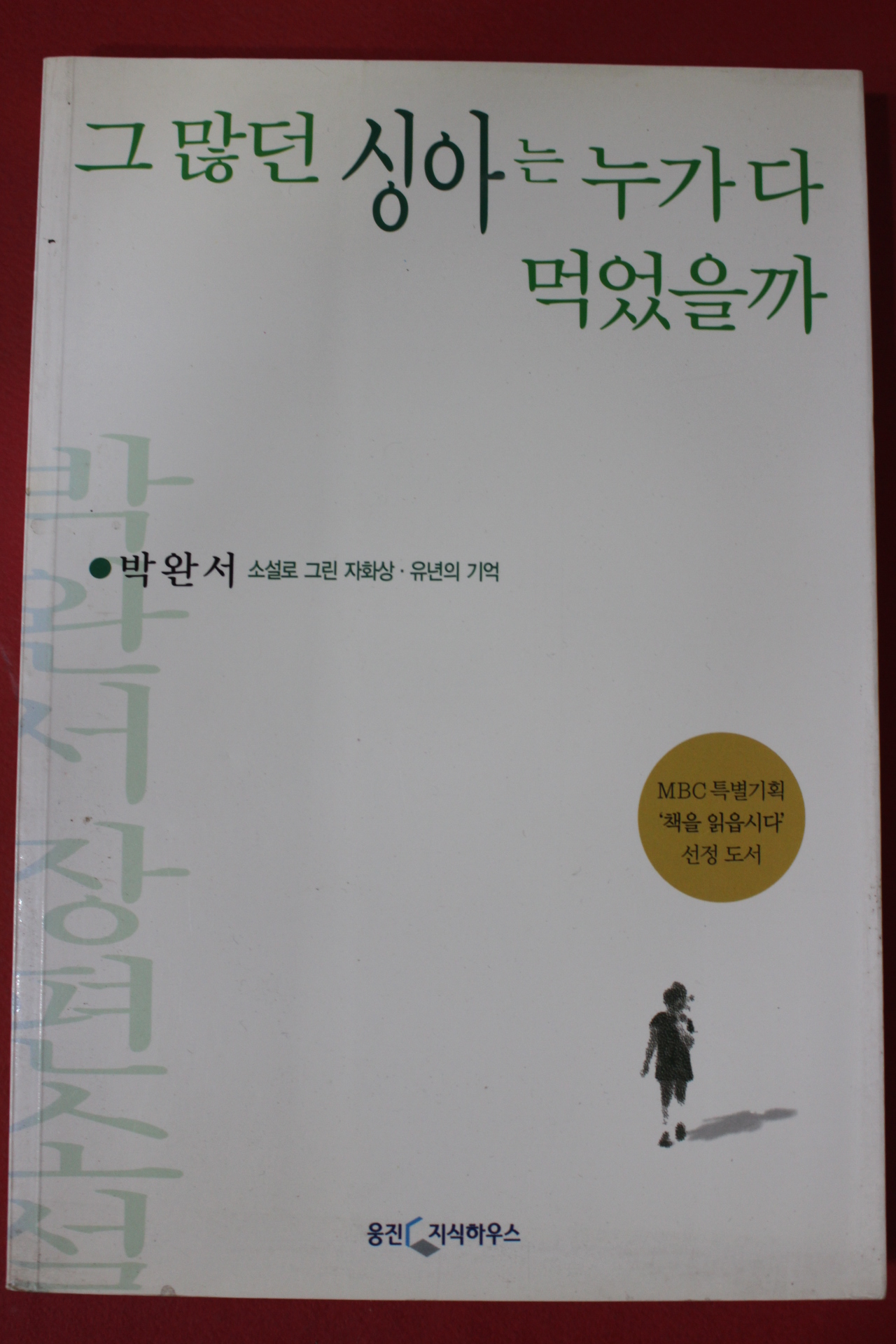 2005년 박완서 그많던 싱아는 누가 다 먹었을까