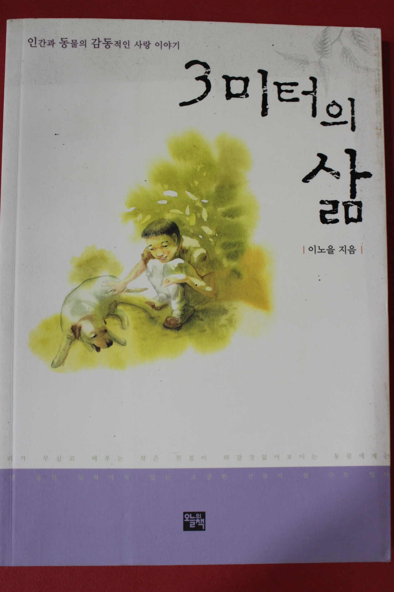 2003년초판 이노을 3미터의 삶