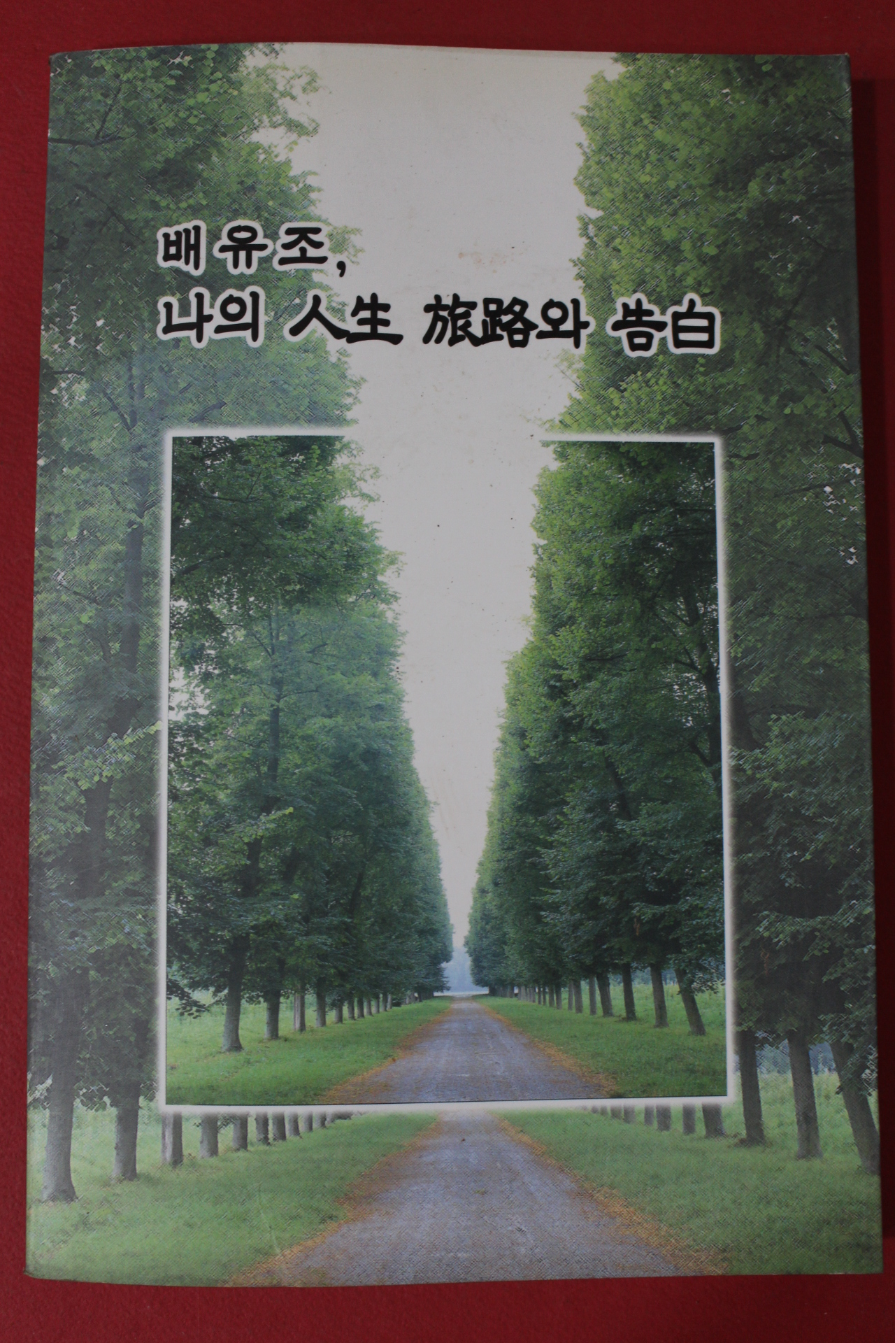 2004년 배유조 나의 인생 족로의 고백