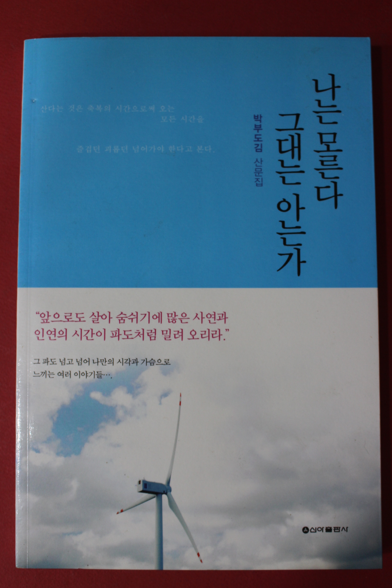 2011년 박부도김 산문집 나는 모른다 그대는 아는가