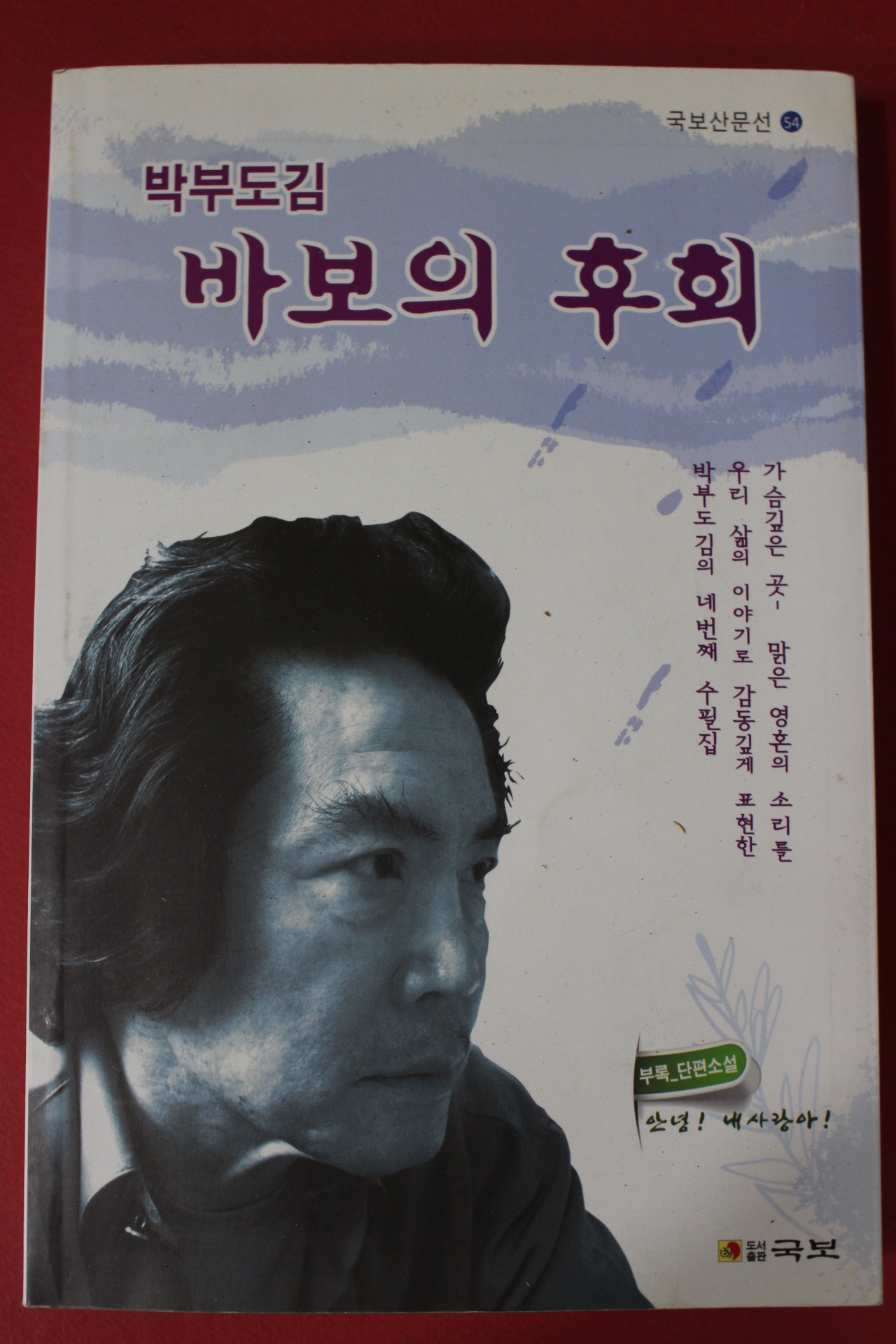 2012년 박부도김 바보의 후회