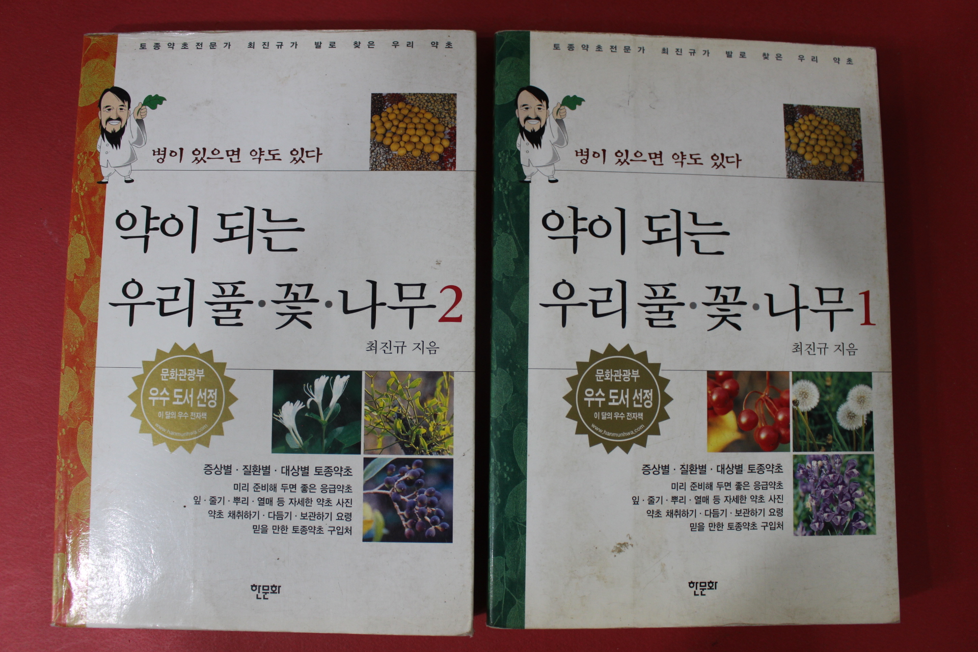 2006년 최진규 약이되는 우리풀 꽃 나무 2책완질