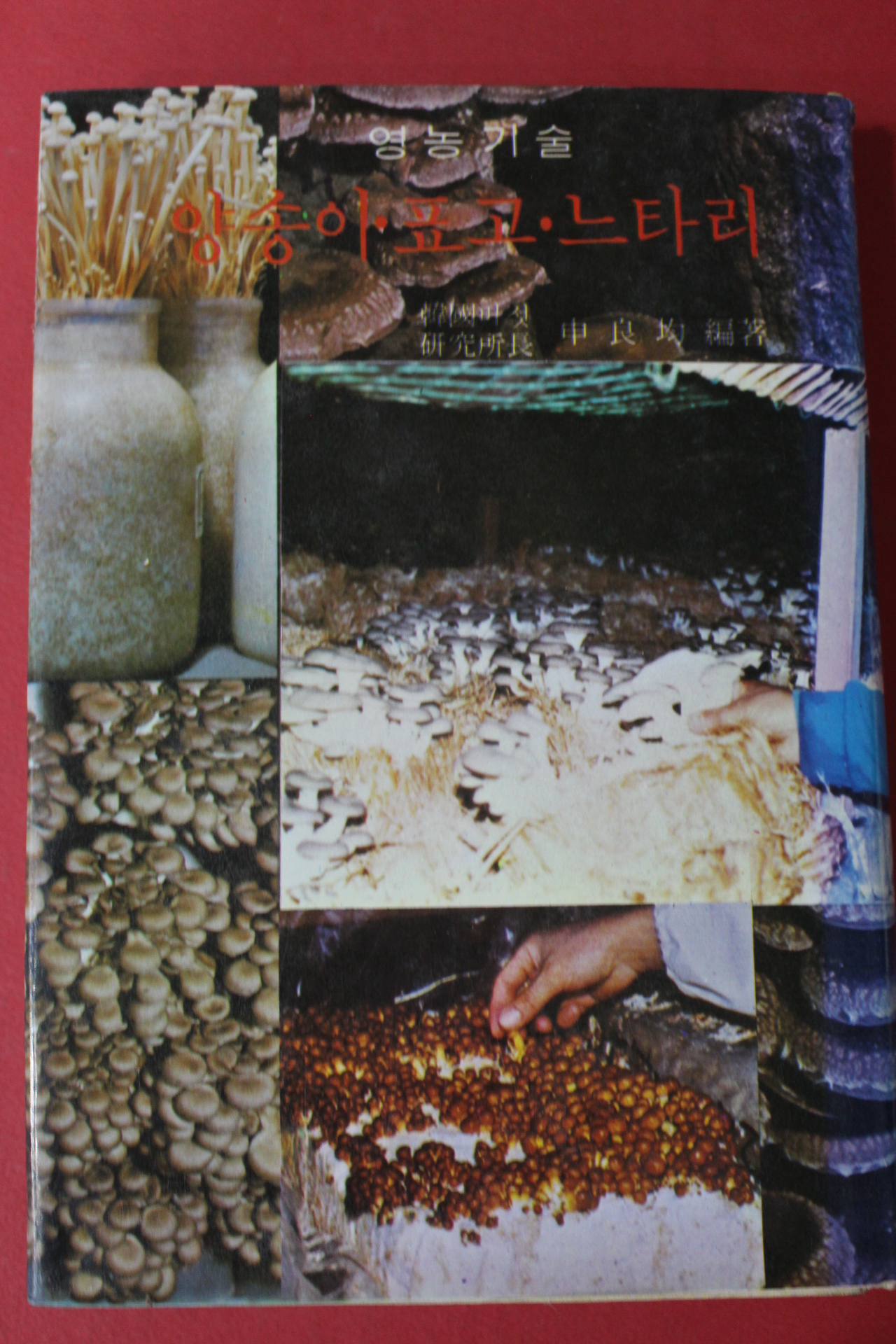 1991년 신양균편저 영농기술 양송이,표고,느타리