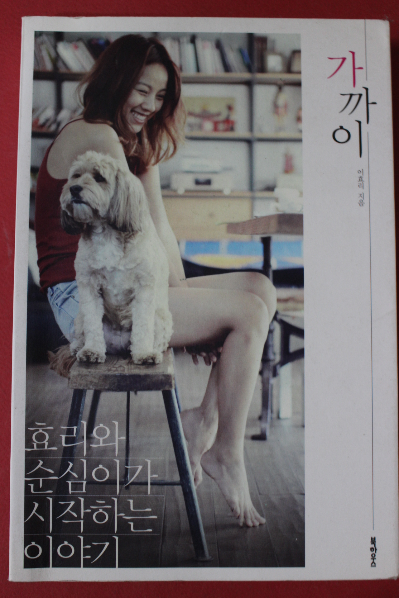 2012년 이효리 가까이