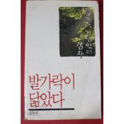 1990년 김동인 발가락이 닮았다,감자