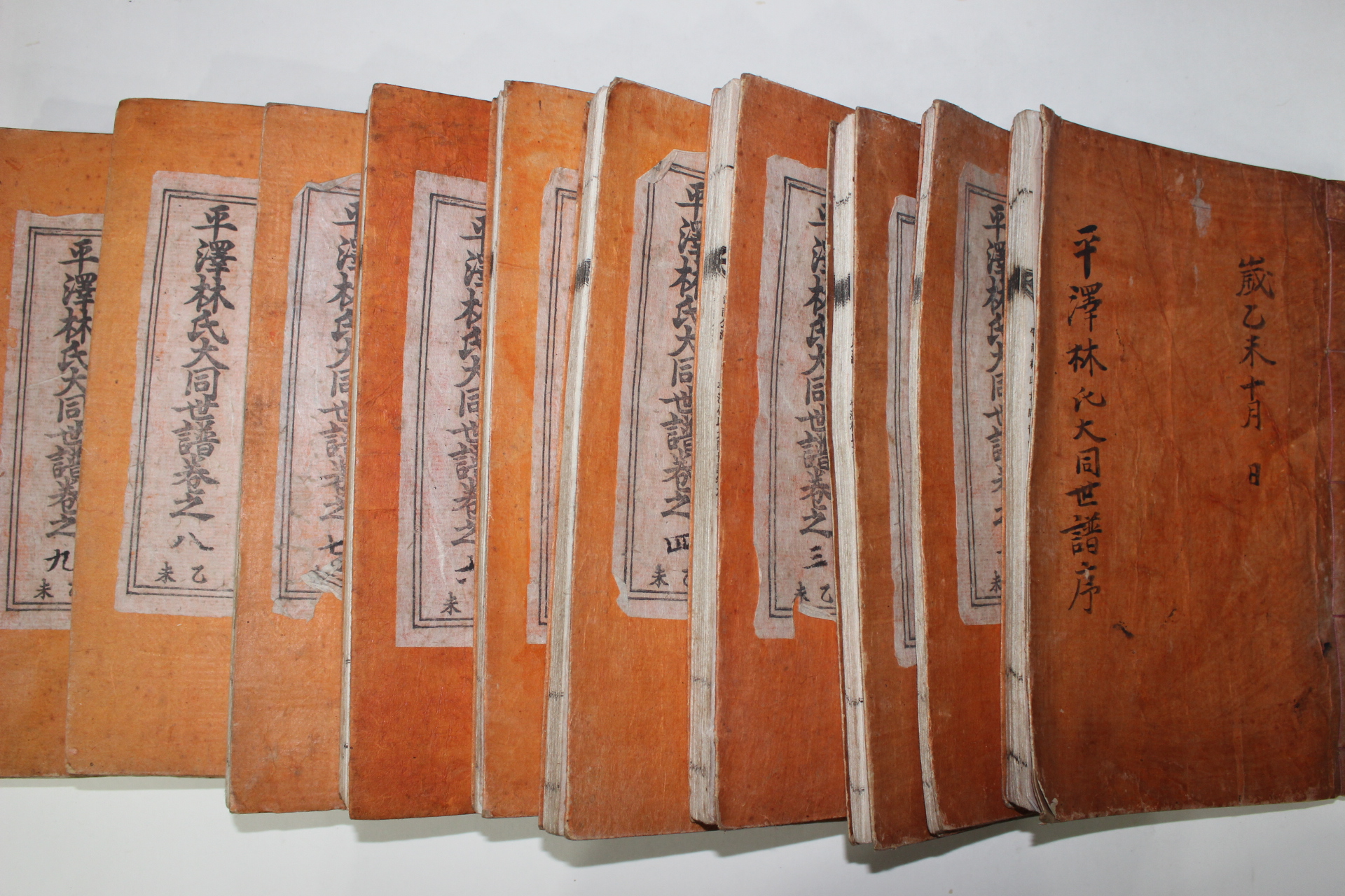 1955년 평택임씨대동세보(平澤林氏大同世譜) 10책완질