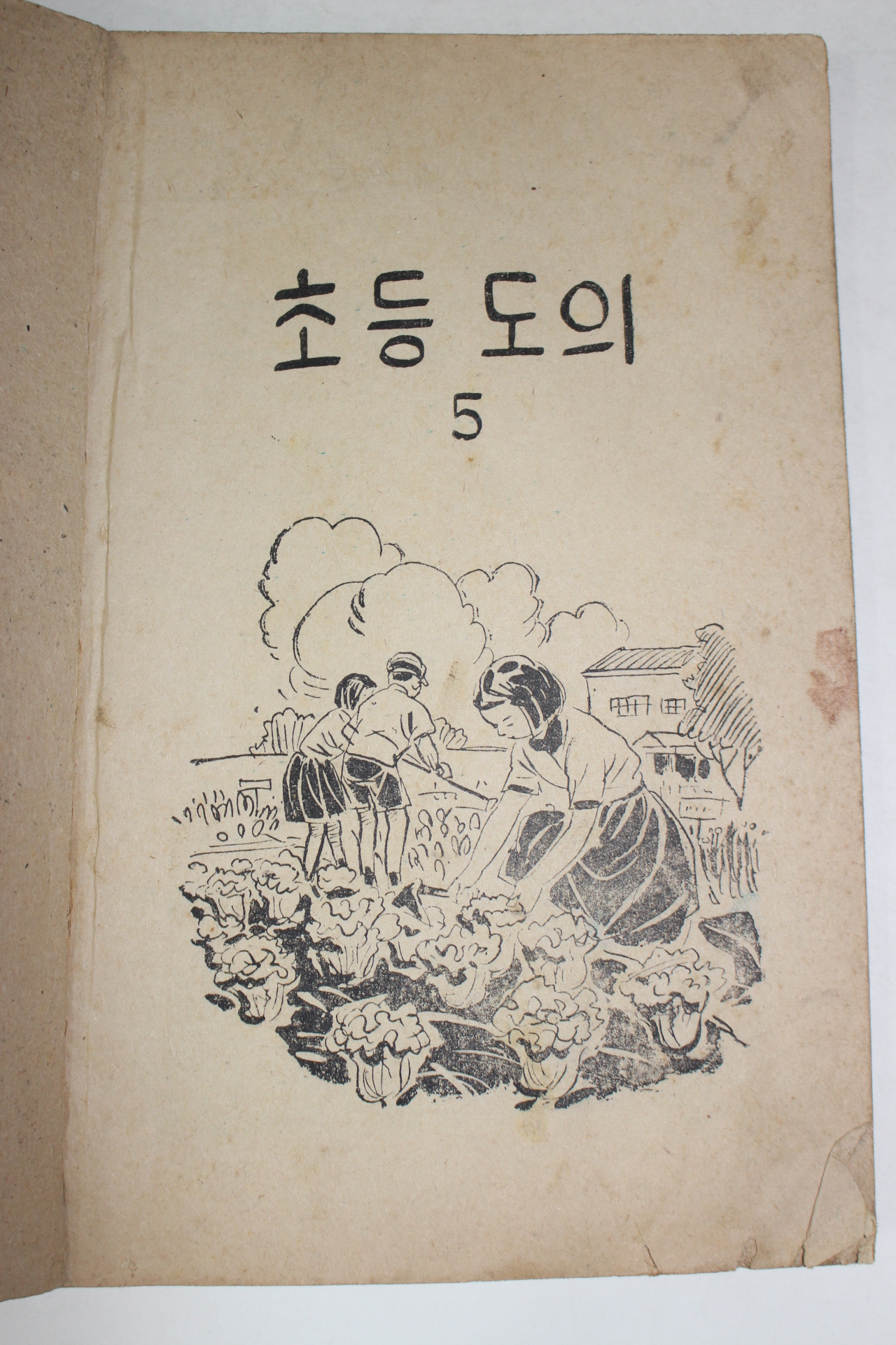 1958년 초등도의 5