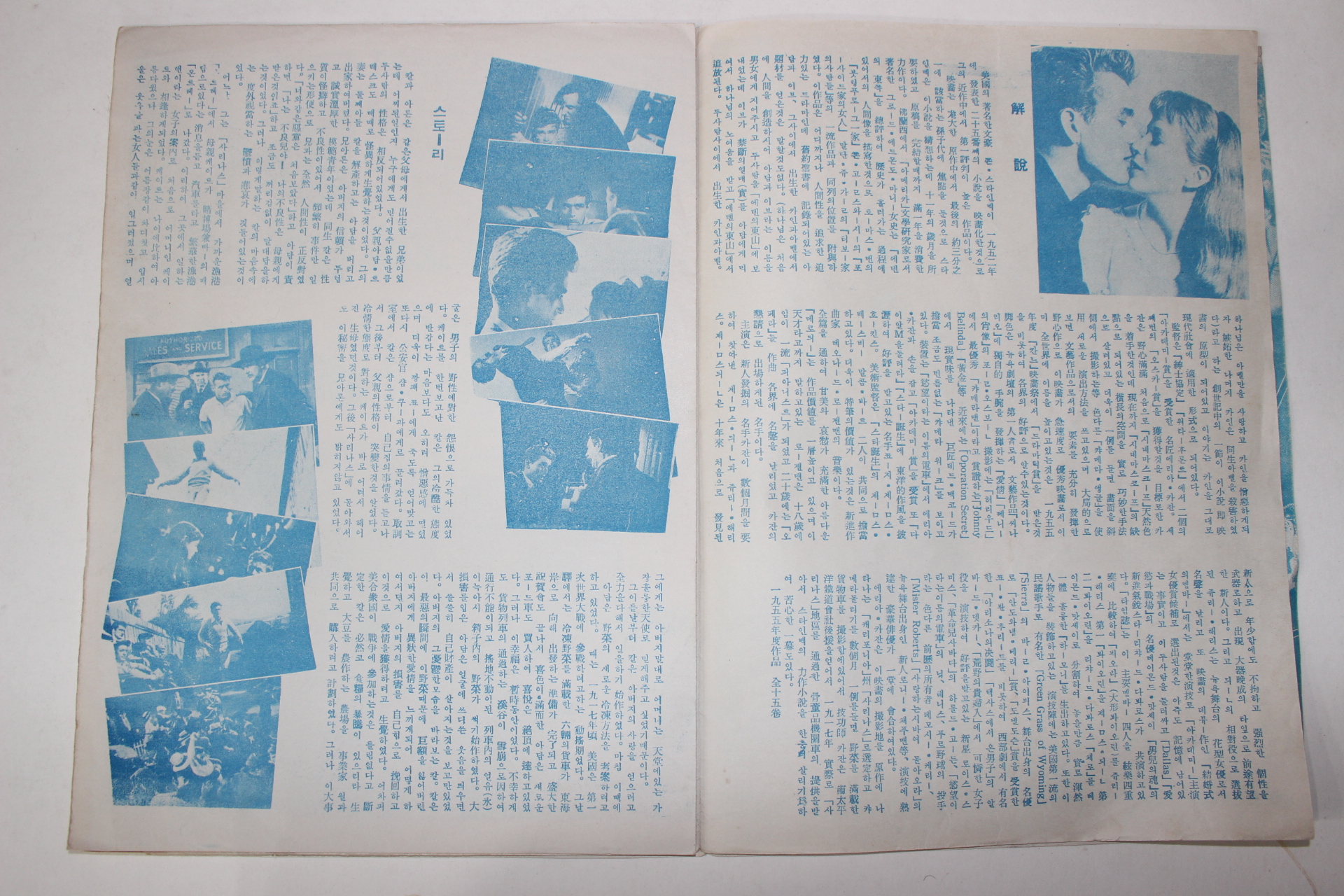 1955년 미국영화 팜플렛,리플렛,포스터 엘리아 카잔 에덴의 동쪽