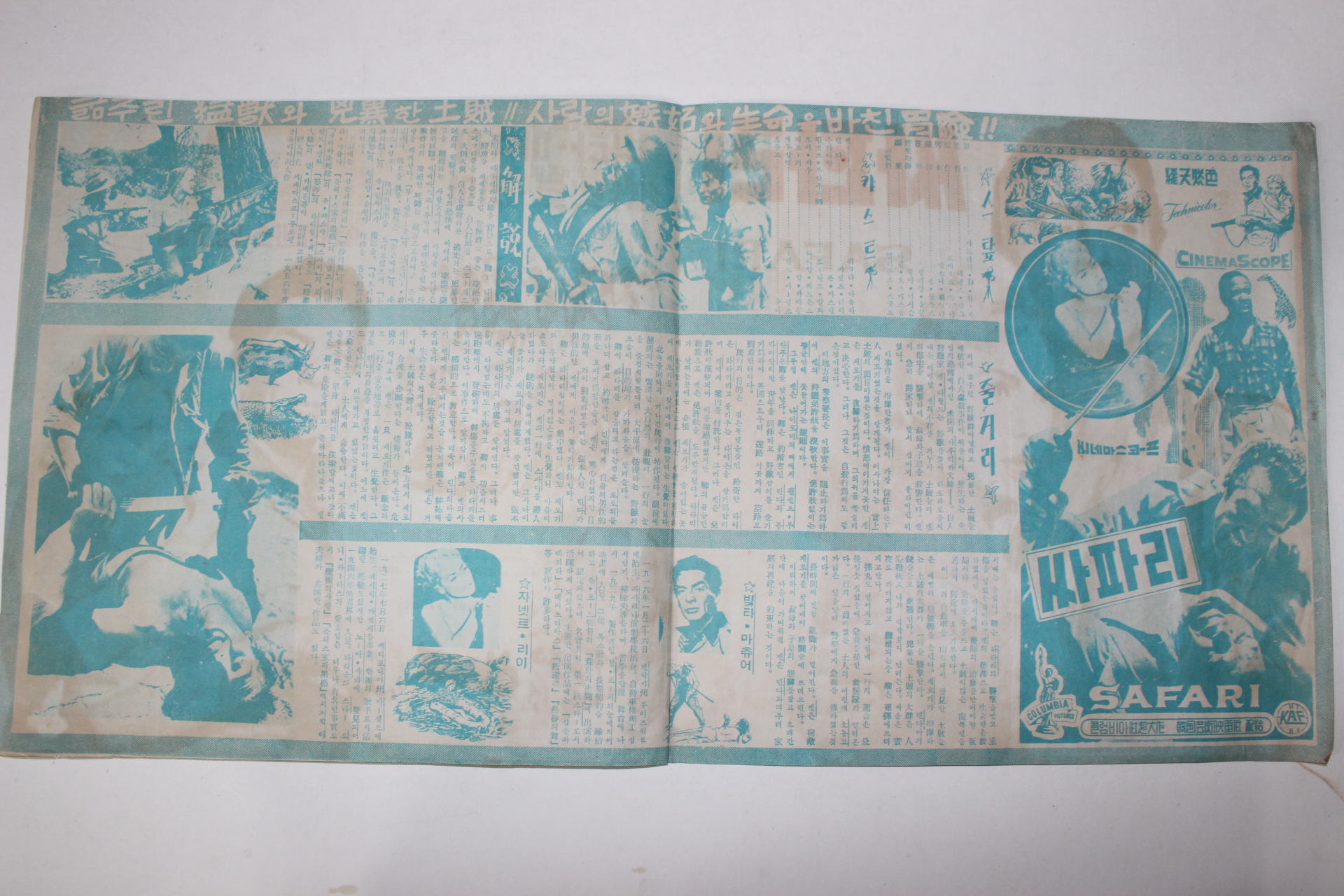 1956년 영화 팜플렛,포스터,리플렛 테렌스 영 사파리