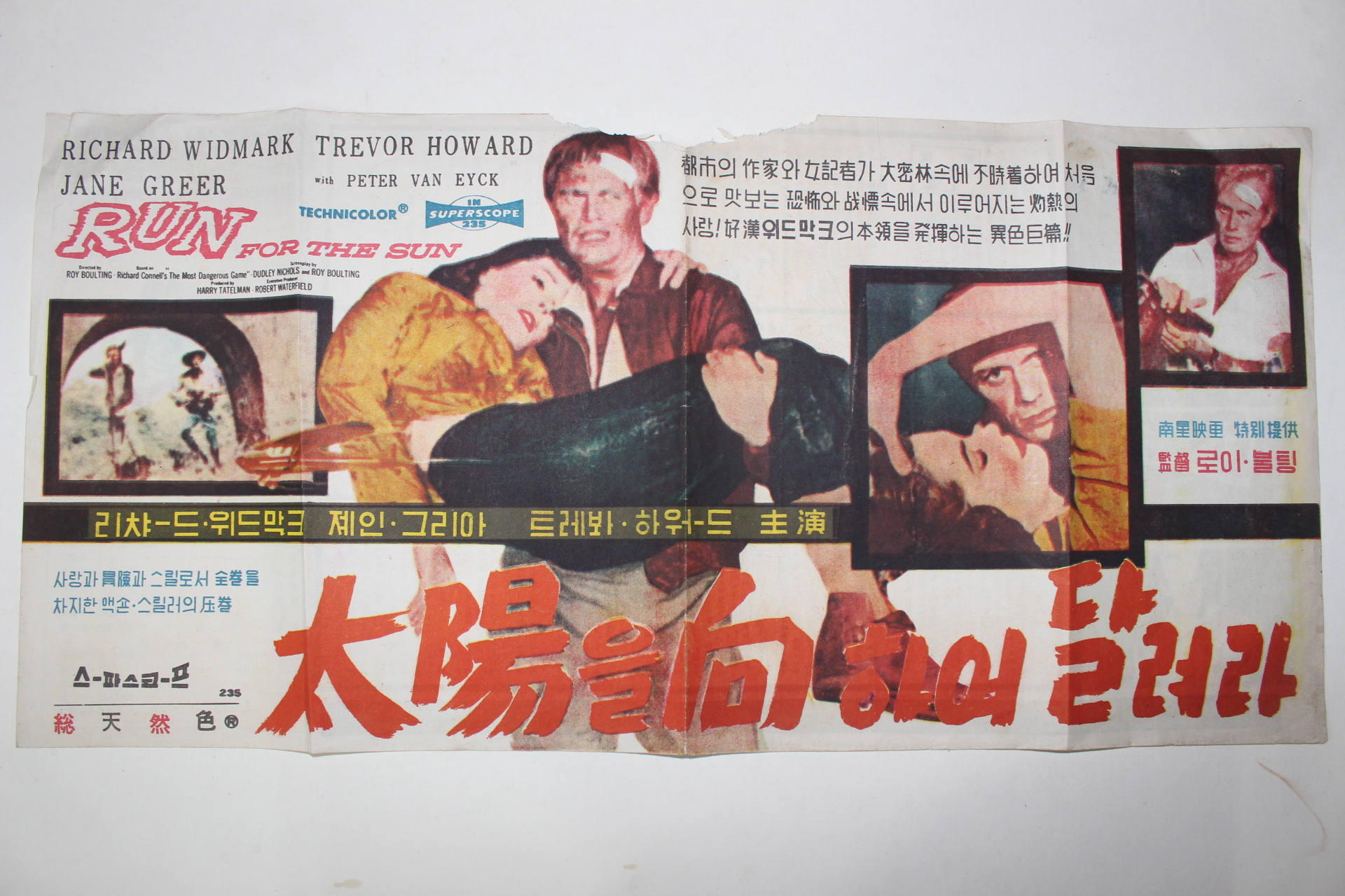 1956년 미국영화 팜플렛,리플렛,포스터 로이 볼팅 태양을 향해 달려라