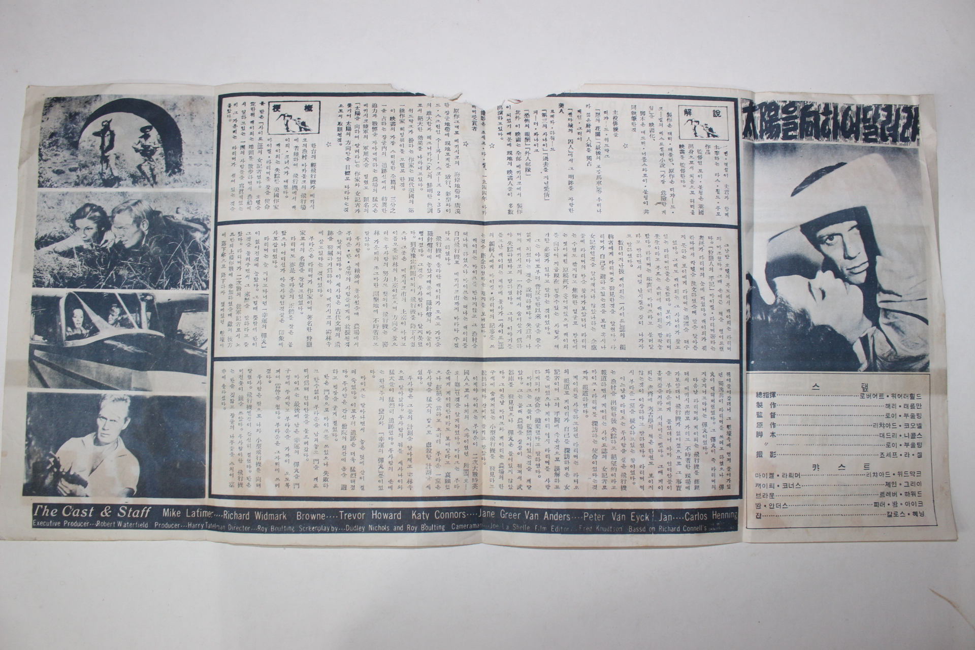 1956년 미국영화 팜플렛,리플렛,포스터 로이 볼팅 태양을 향해 달려라