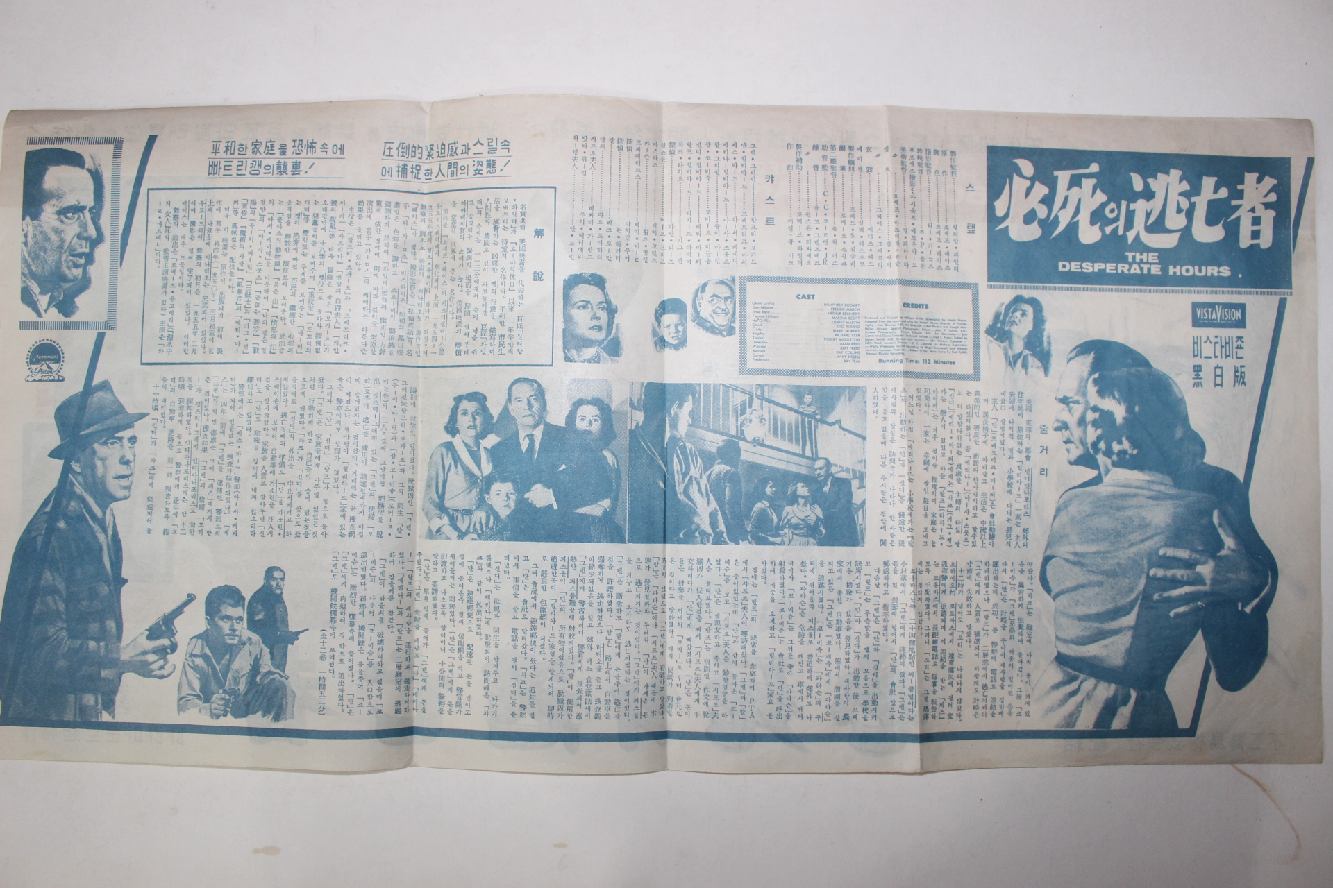 1955년 미국영화 팜플렛,리플렛,포스터 윌리엄 와일러 필사의 도망자
