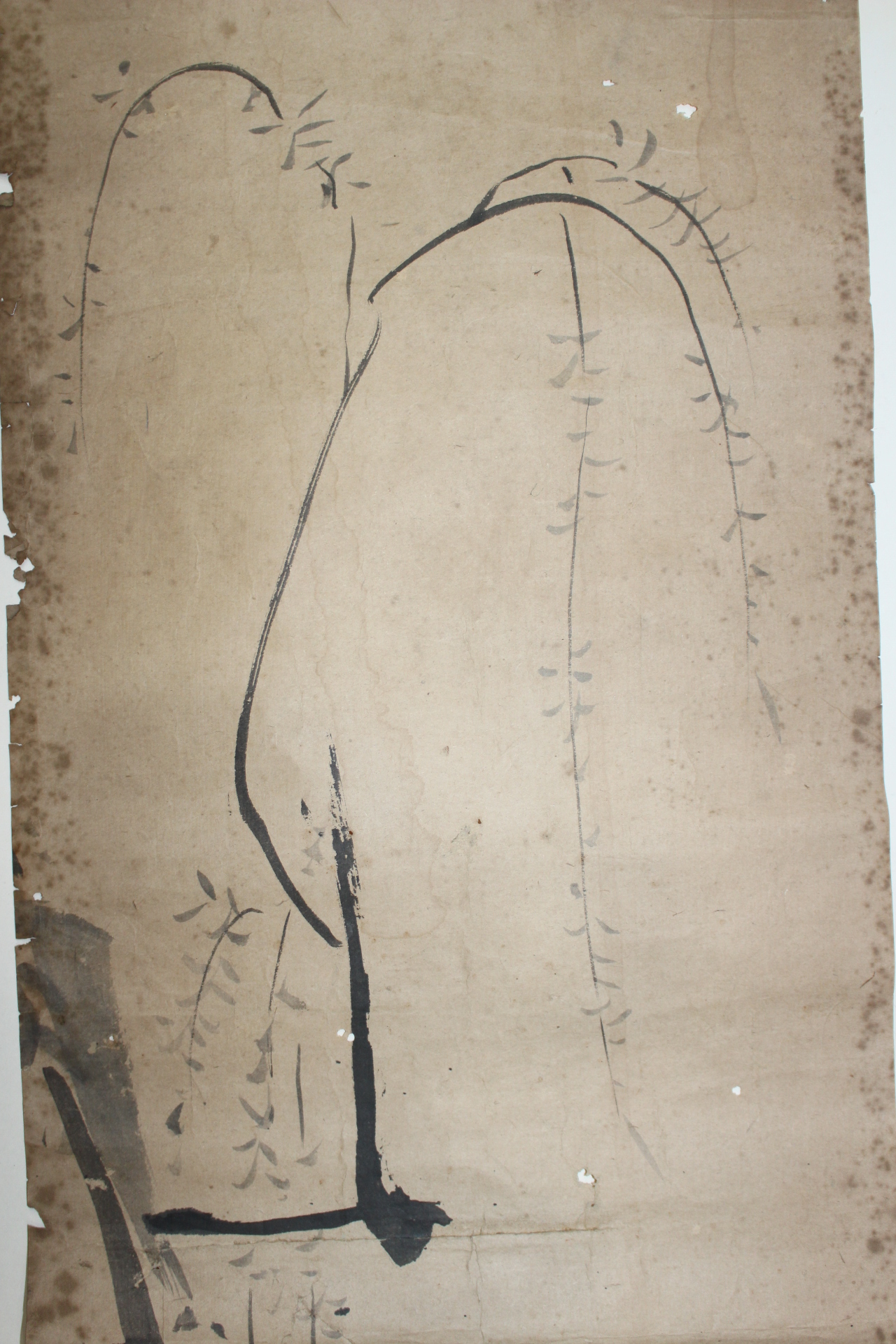 1700년경 강호시기 狩野常信 카노츠네노부 묵화 제비와 버드나무
