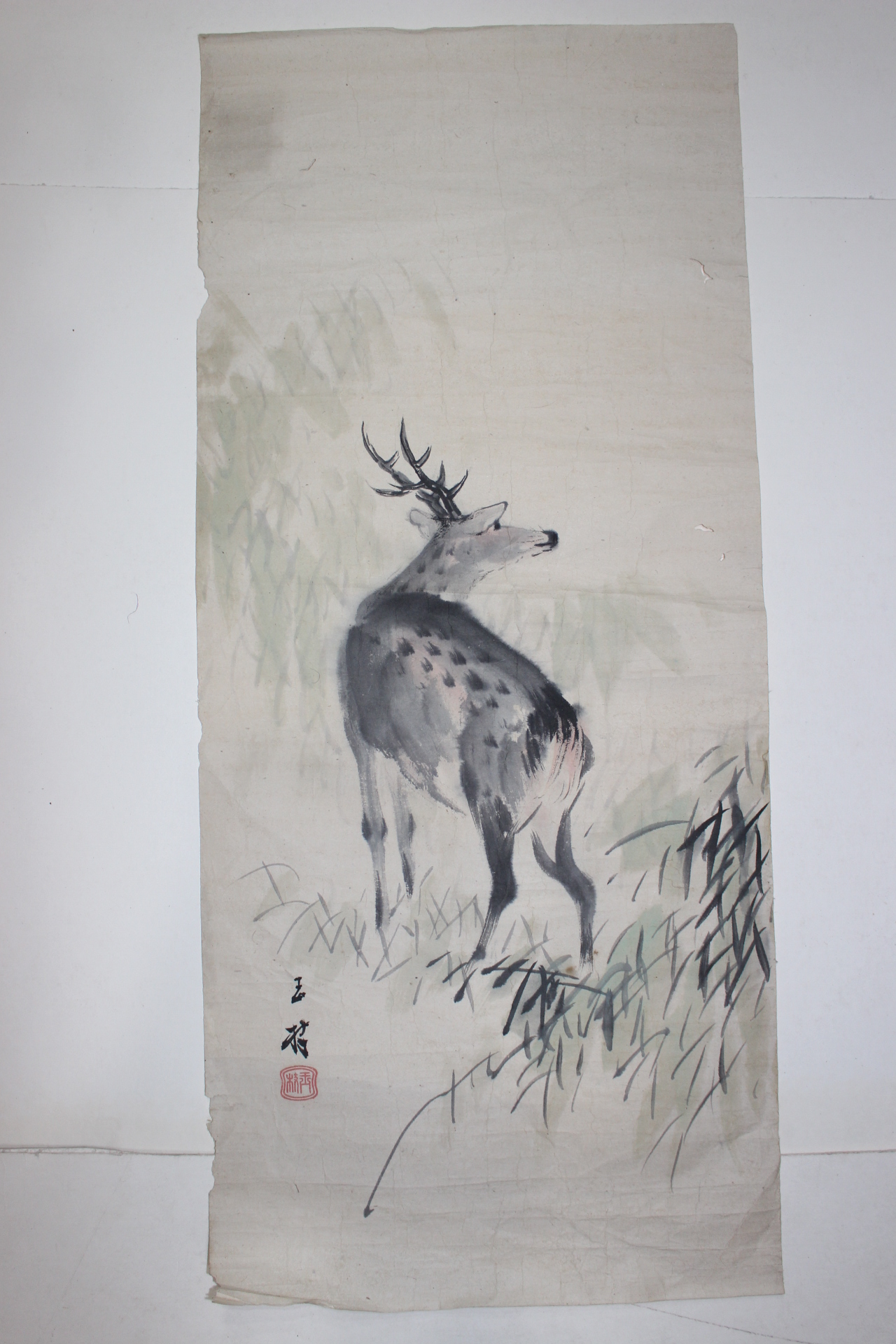 연대가좋은 사슴그림