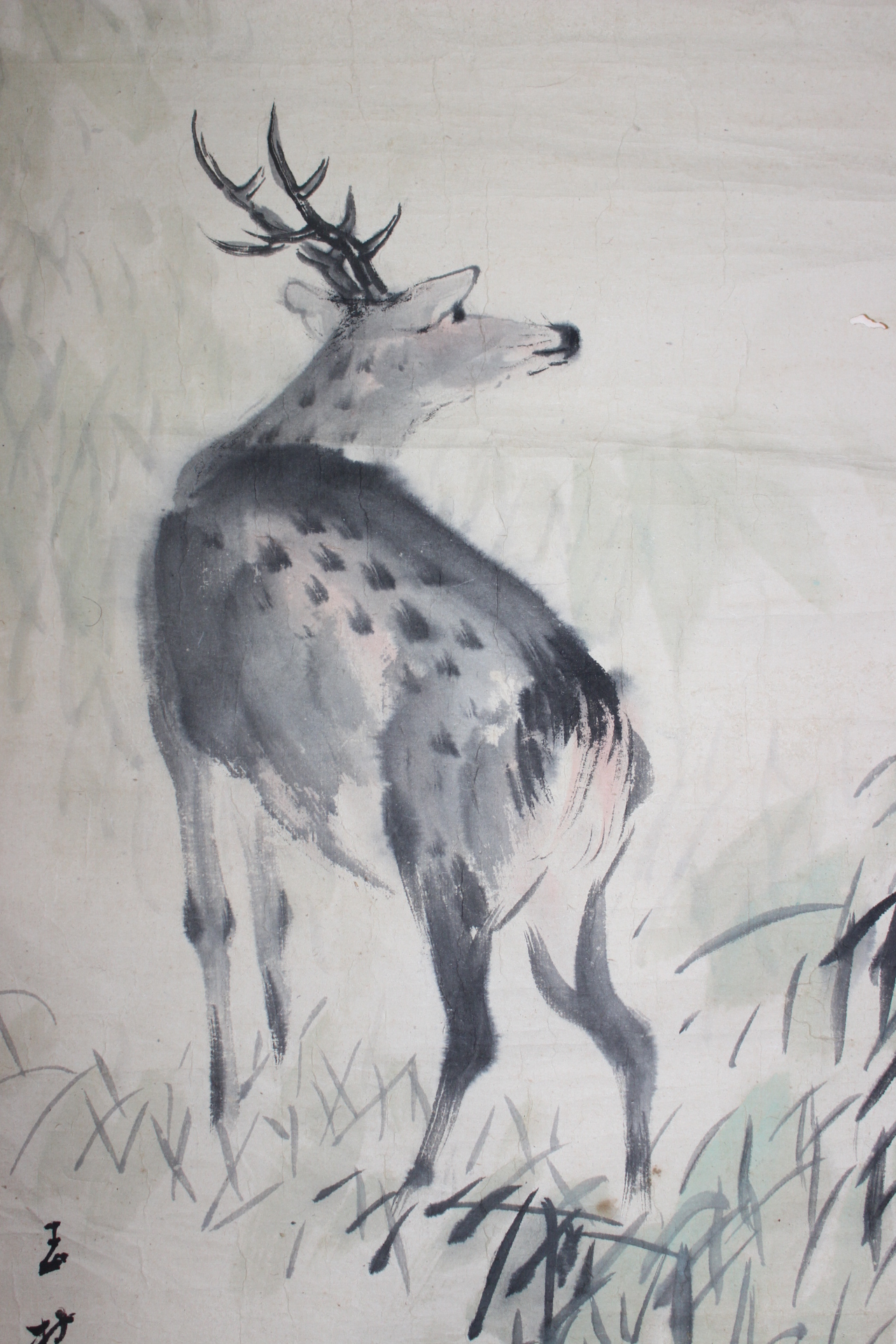 연대가좋은 사슴그림