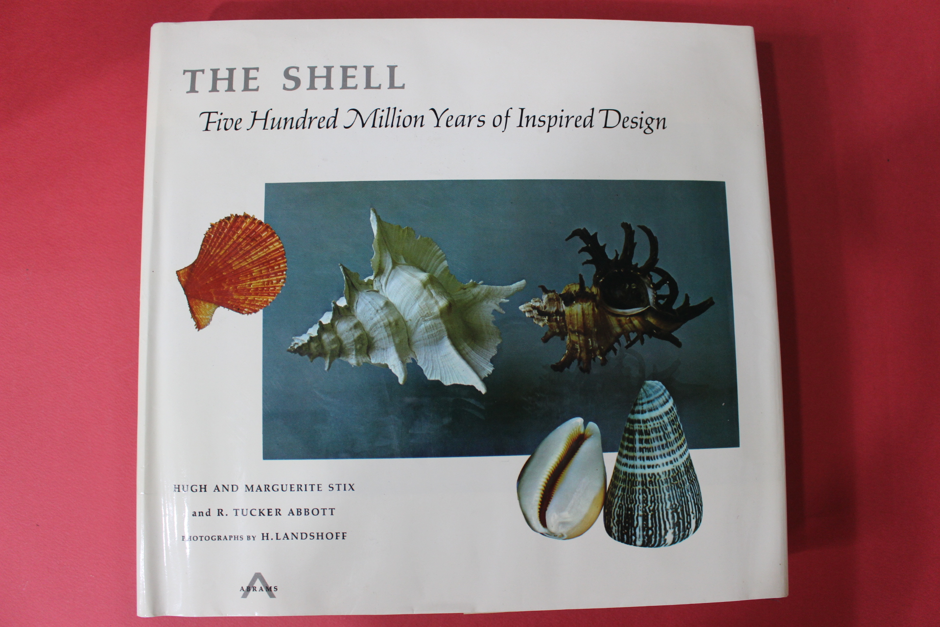 미국 일본간행 조개관련 THE SHELL