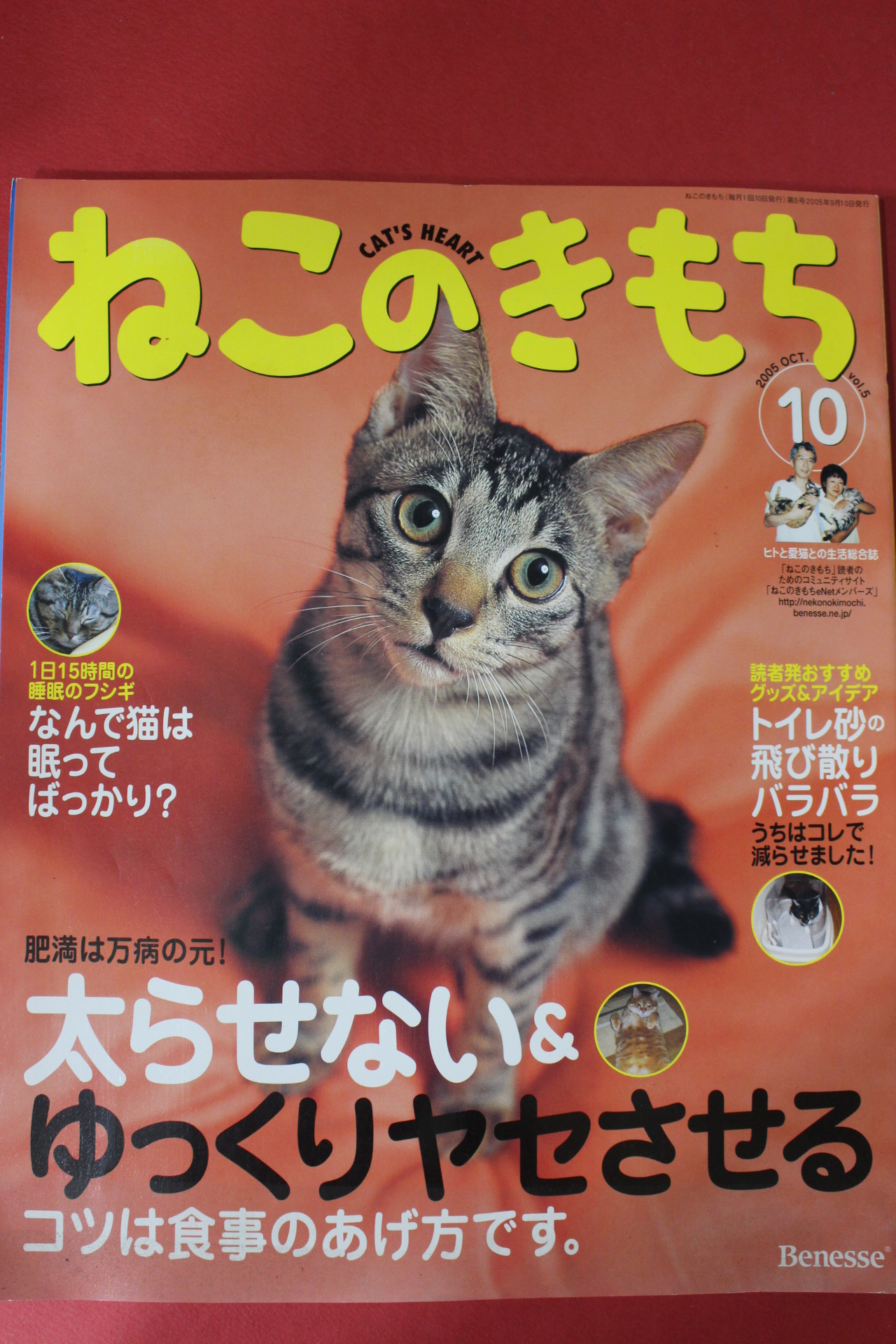 2005년 고양이 마음 10월호