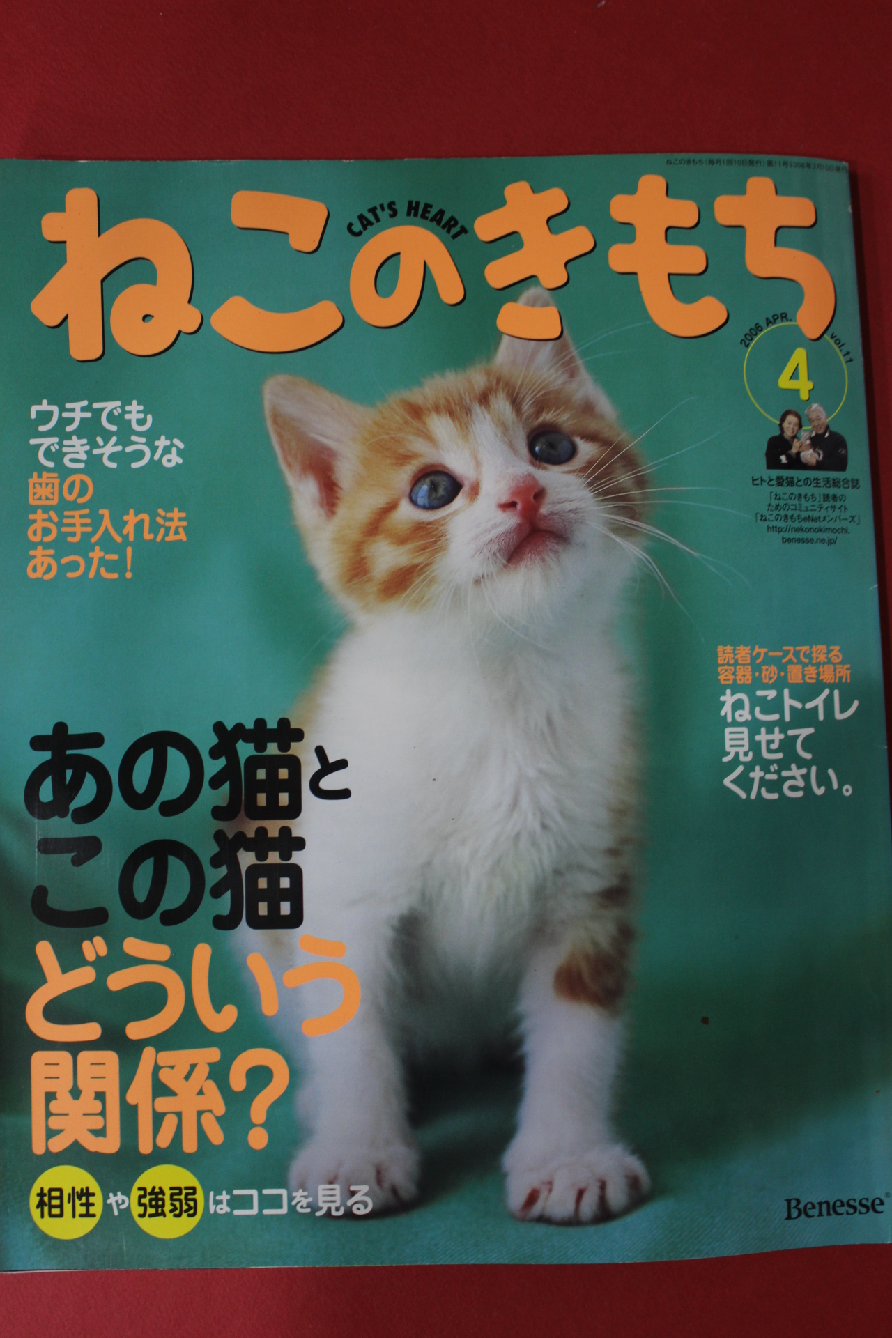 2006년 고양이 마음 4월호