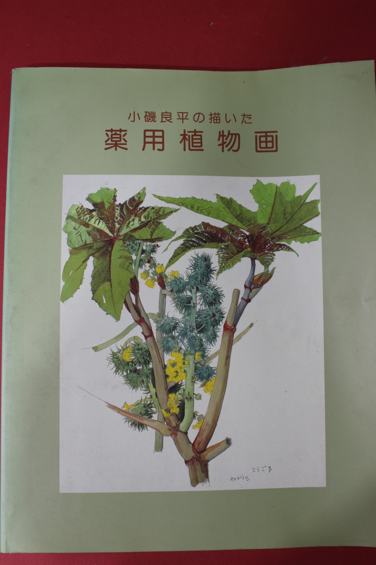 1996년 일본간행 약용식물화