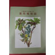 1996년 일본간행 약용식물화