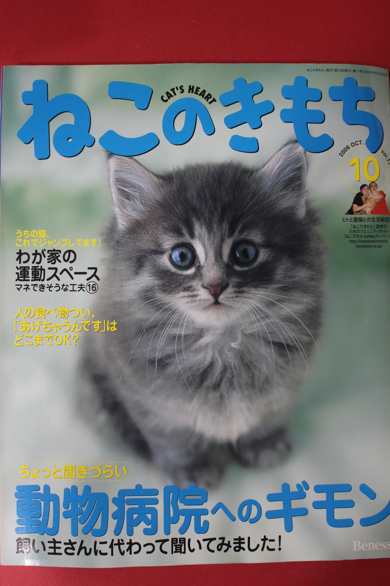 2006년 고양이마음 10월호