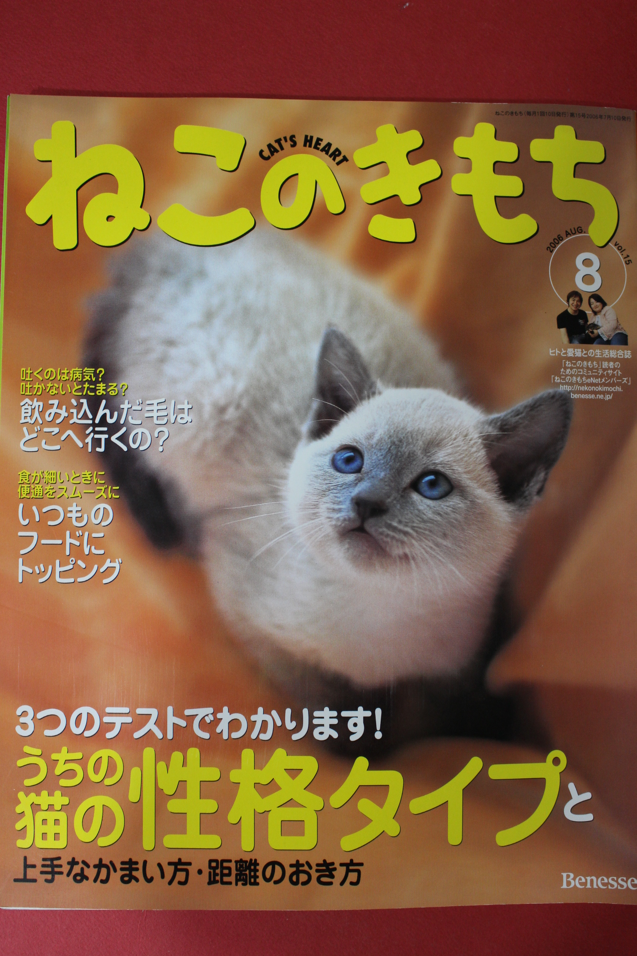 2006년 고양이마음 8월호