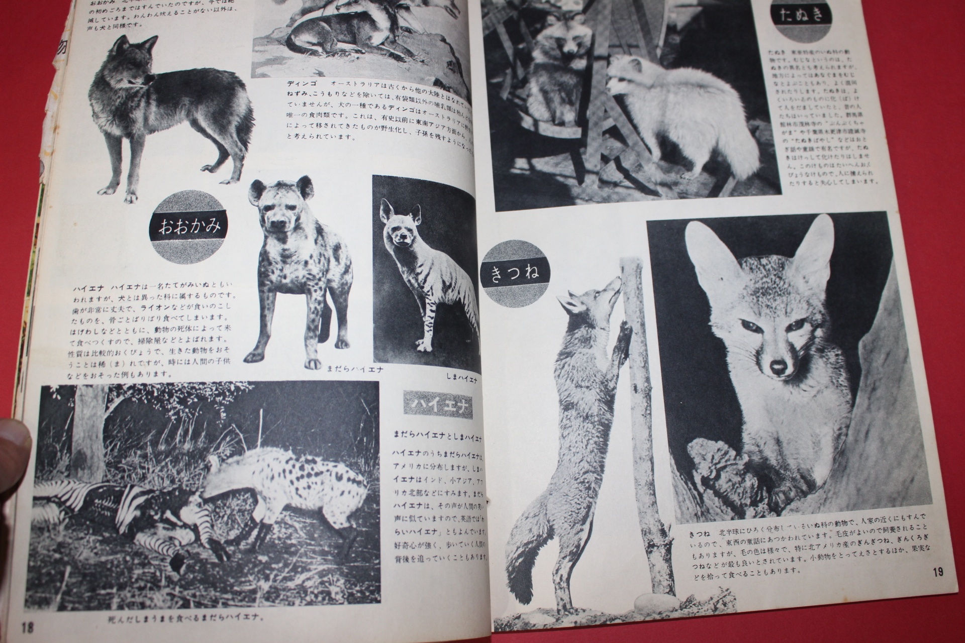 1957년(소화32년) 과학대관 제1호 동물(動物)